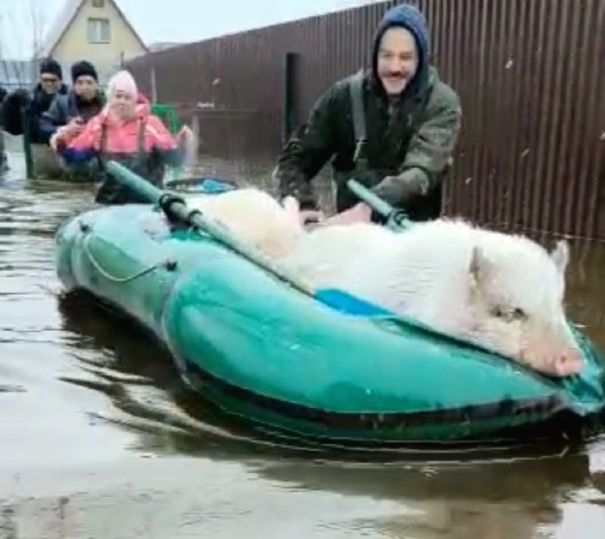 подтопление, ЧП, паводок, Воскресенск