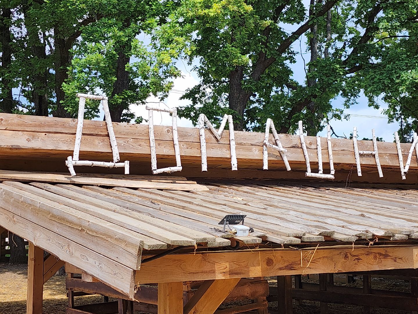 серпухов, подмосковье, агрокомплекс, верблюды,