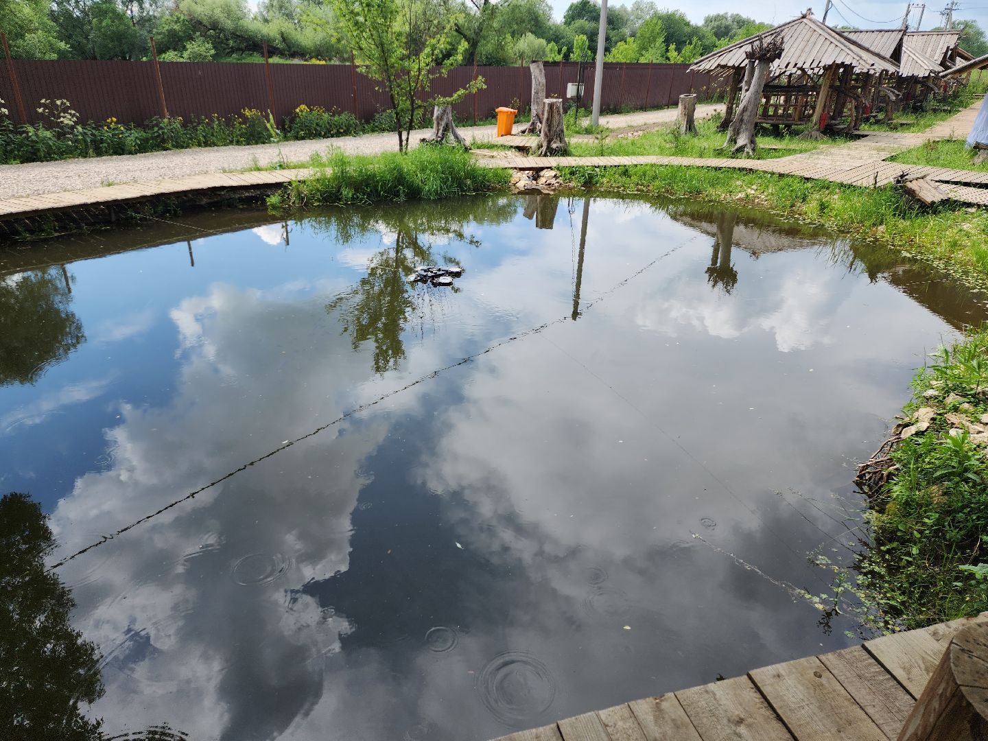 серпухов, подмосковье, агрокомплекс, верблюды,