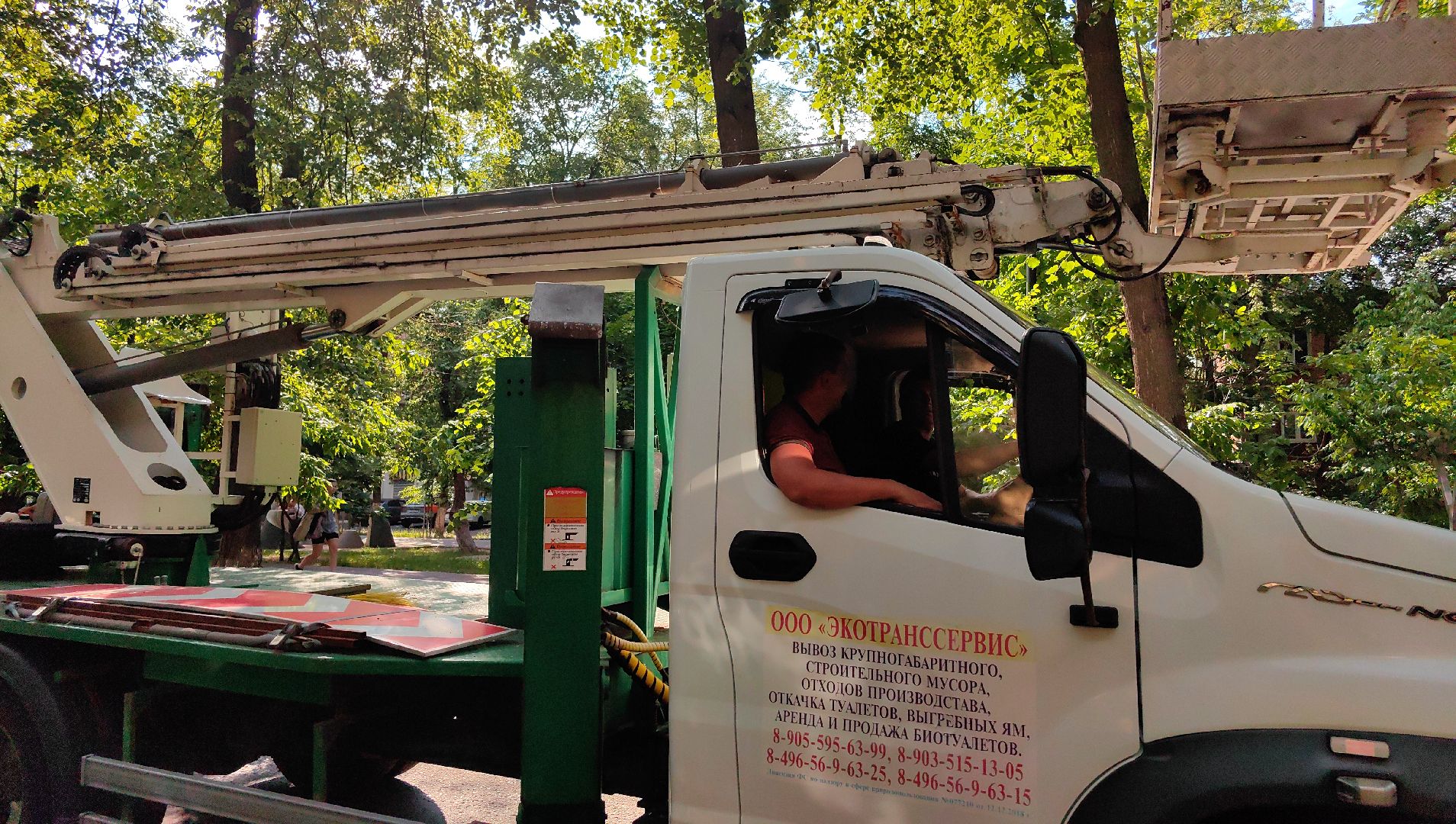 опил деревьев, пешеходная зона, сухие деревья, санитарная мера, щёлково,