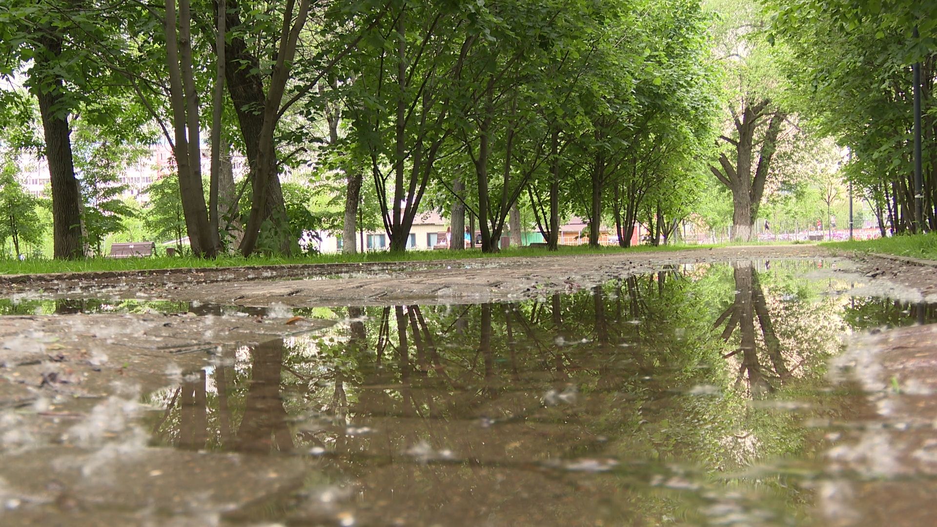 Реутов, парк, фонтан, реконструкция,вода,