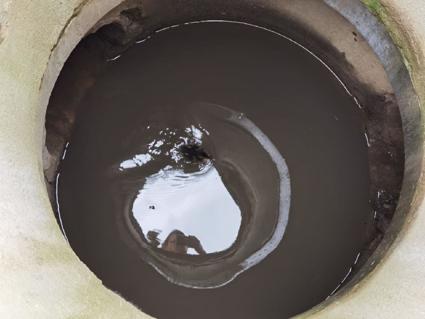 Сергиев Посад, Мособлпожспас, Спасатели, Утята, Природа,