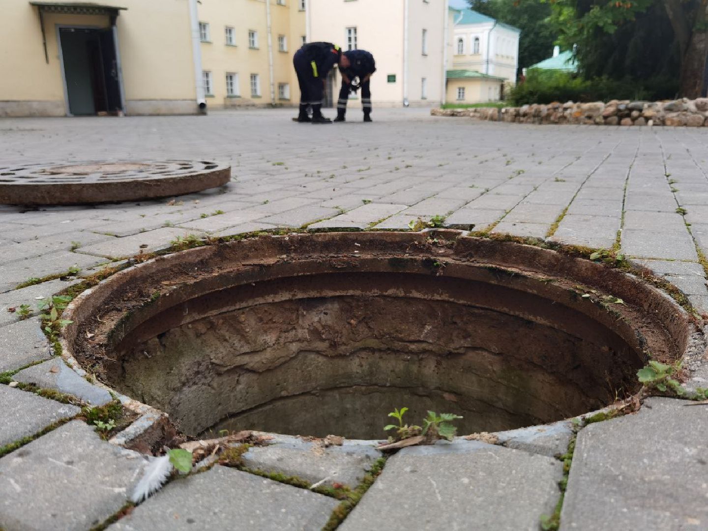 Сергиев Посад, Мособлпожспас, Спасатели, Утята, Природа,