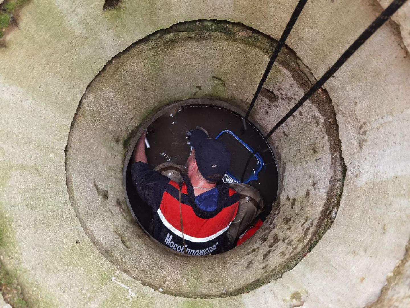 Сергиев Посад, Мособлпожспас, Спасатели, Утята, Природа,