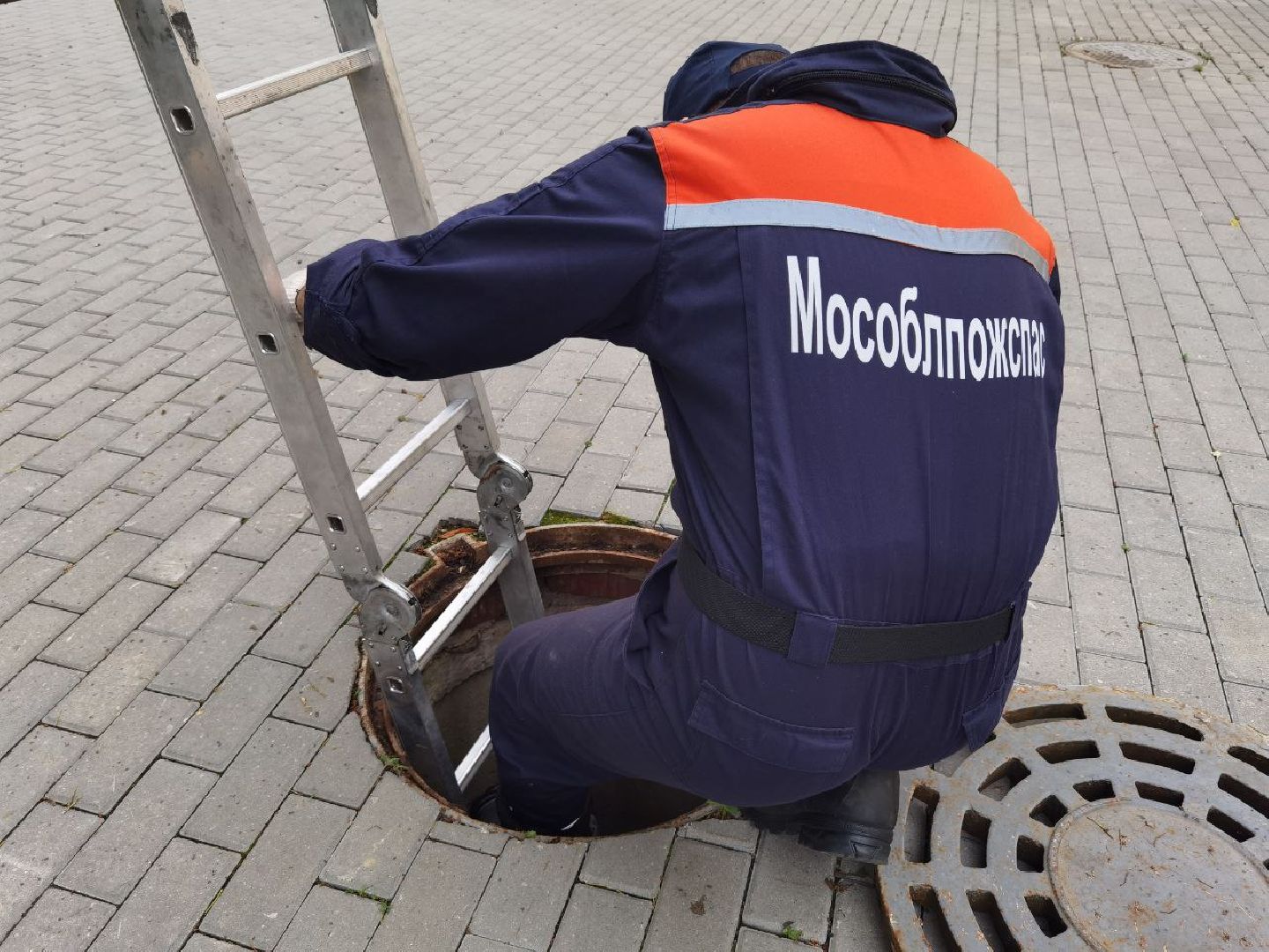 Сергиев Посад, Мособлпожспас, Спасатели, Утята, Природа,