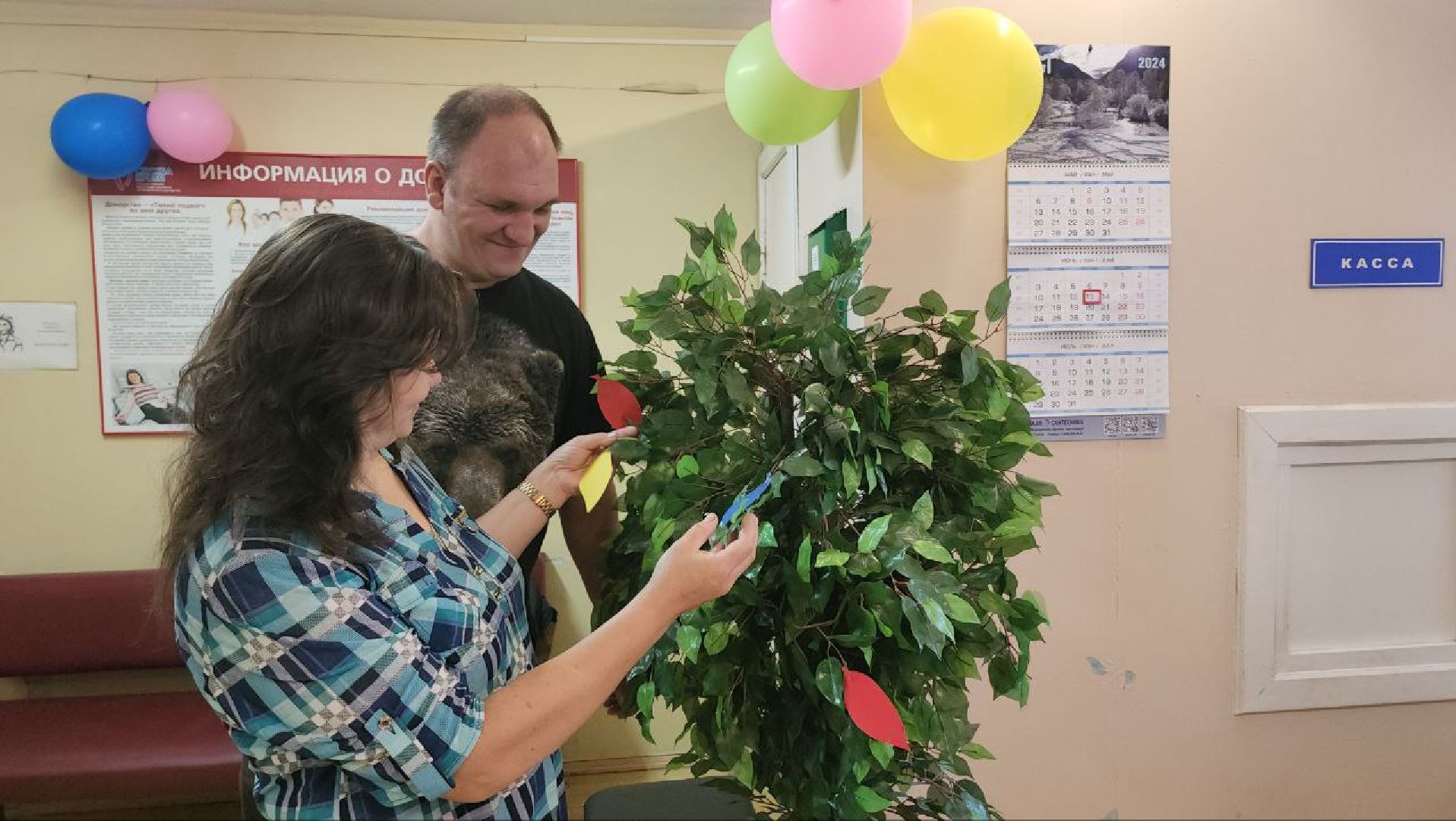 люберцы, Люберецкая областная больница, донорство,