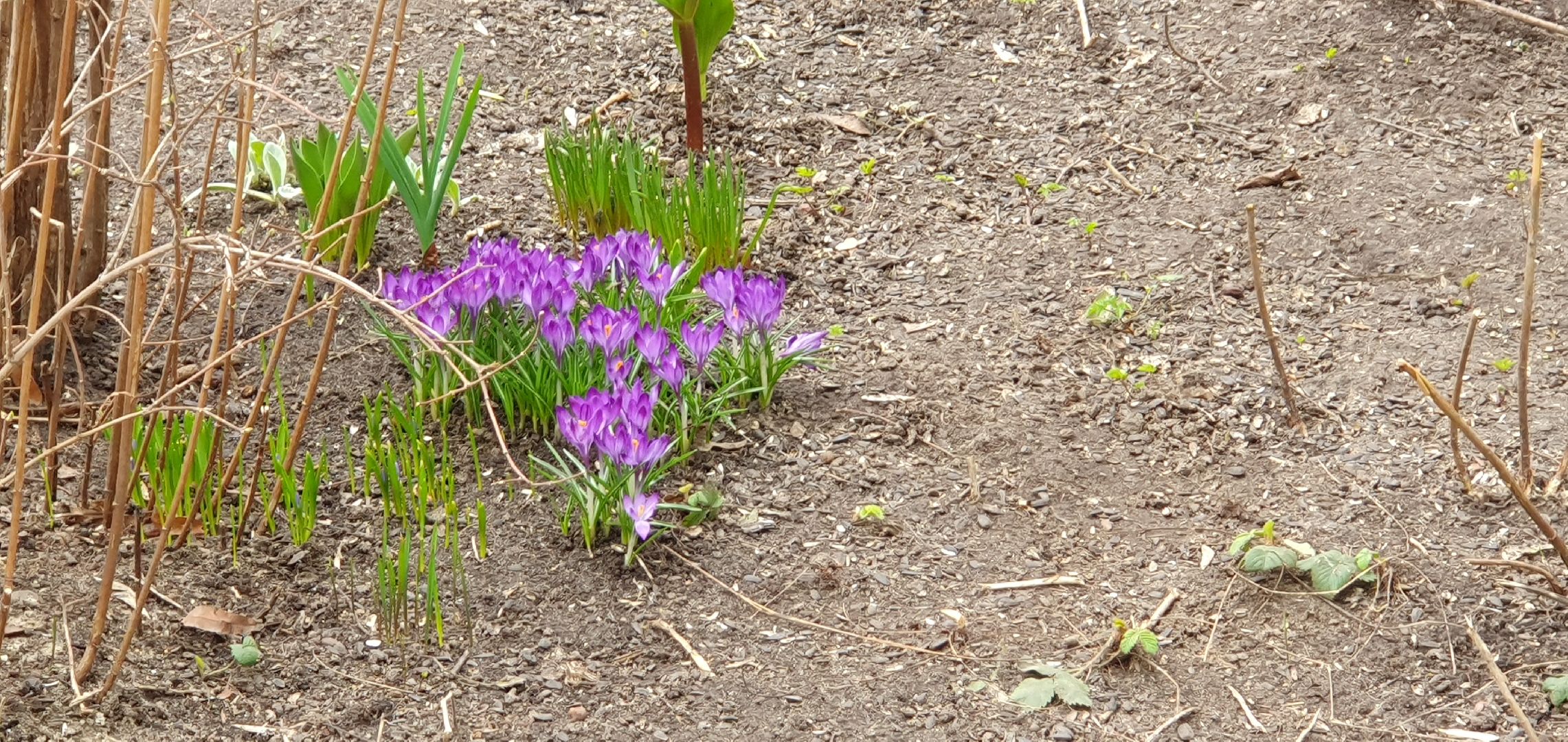 уборка, Дзержинский, перемены, месячник чистоты