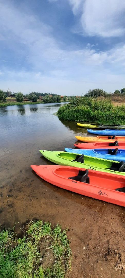 Одинцово, Гребной спорт, Фестиваль Плыви Россия, Звенигород,