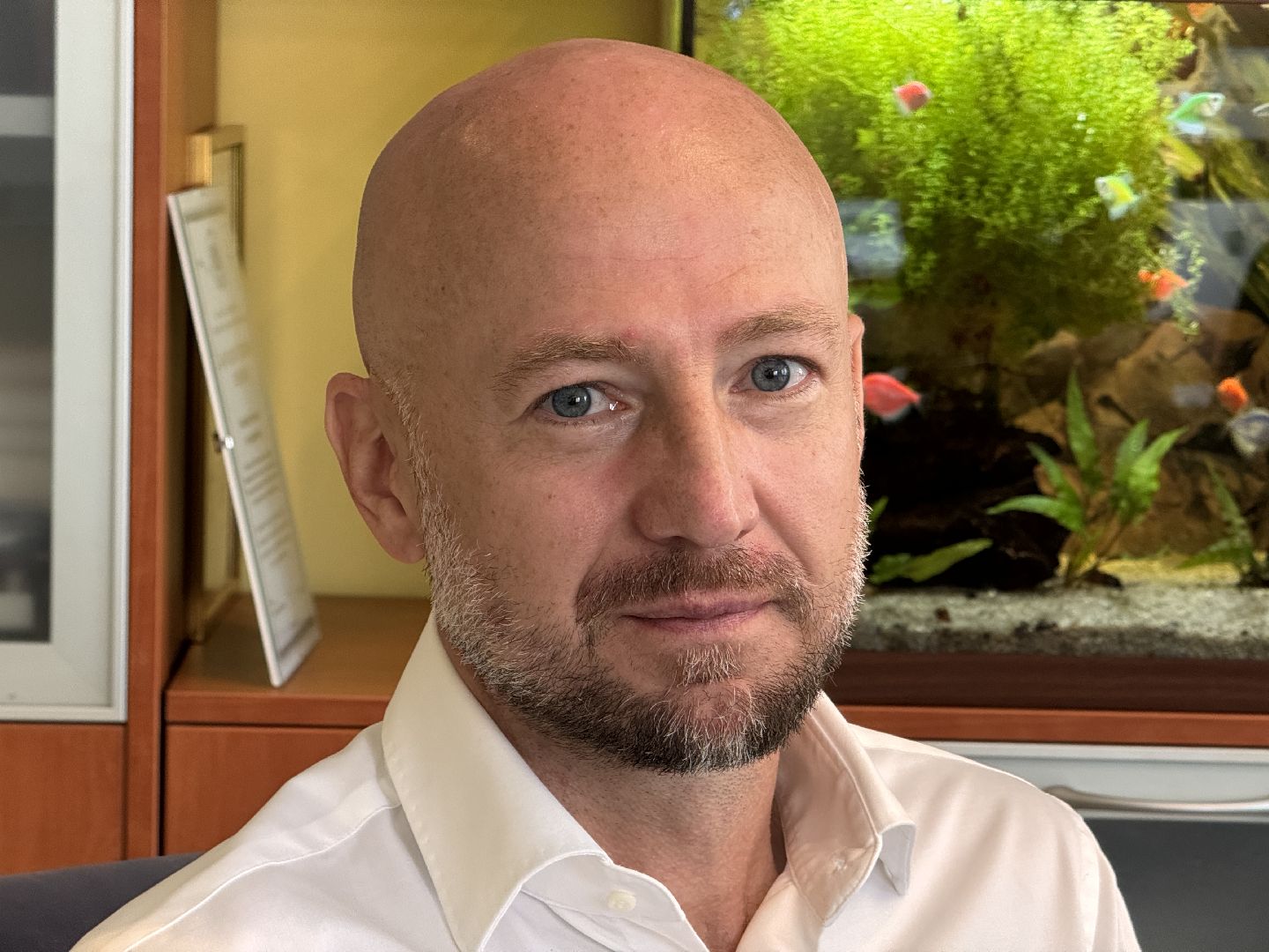 Одинцово, Гребной спорт, Фестиваль Плыви Россия, Звенигород,