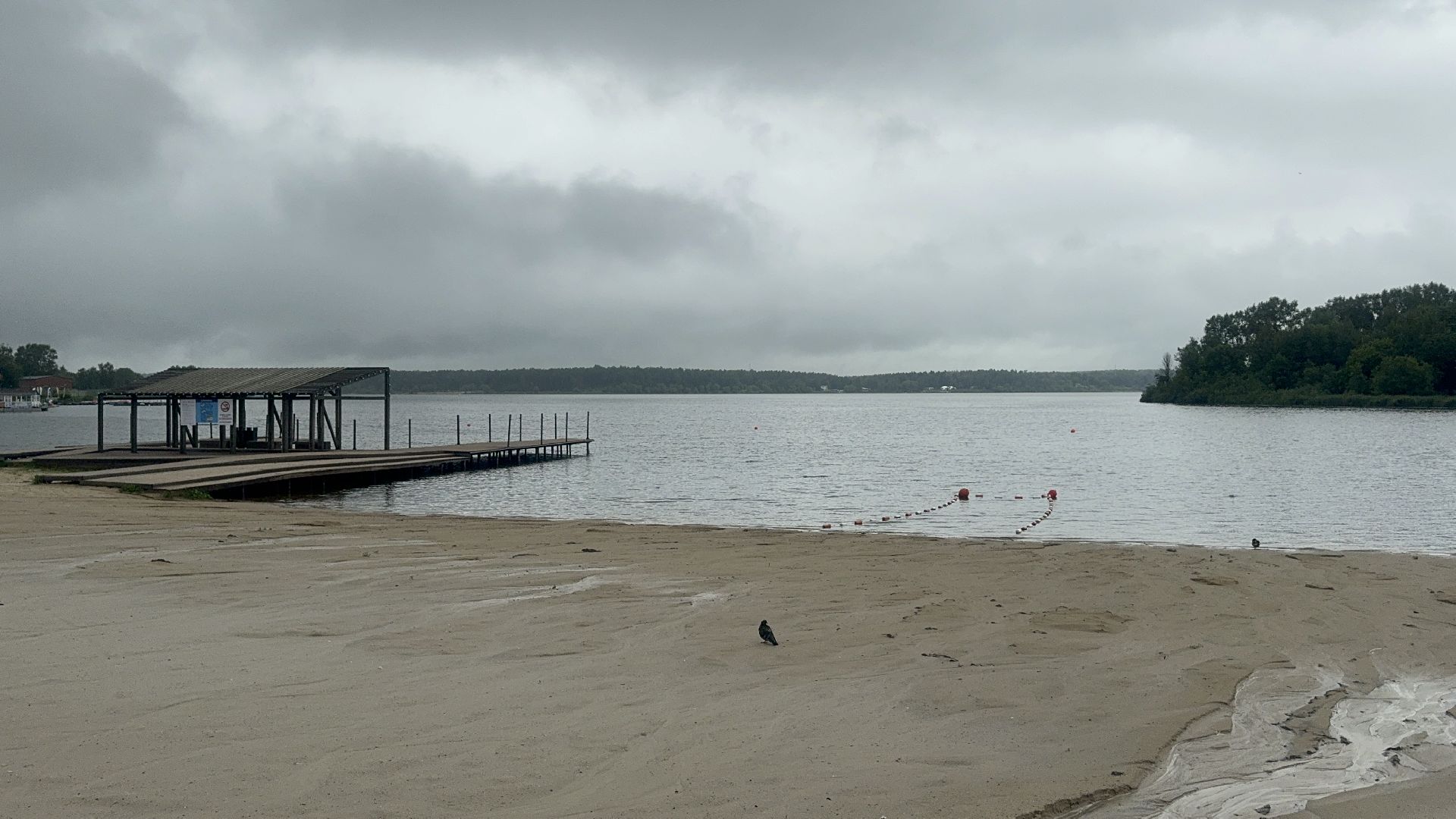 Солнечногорск, безопасность на воде, дети, гимс мчс россии, школьники,