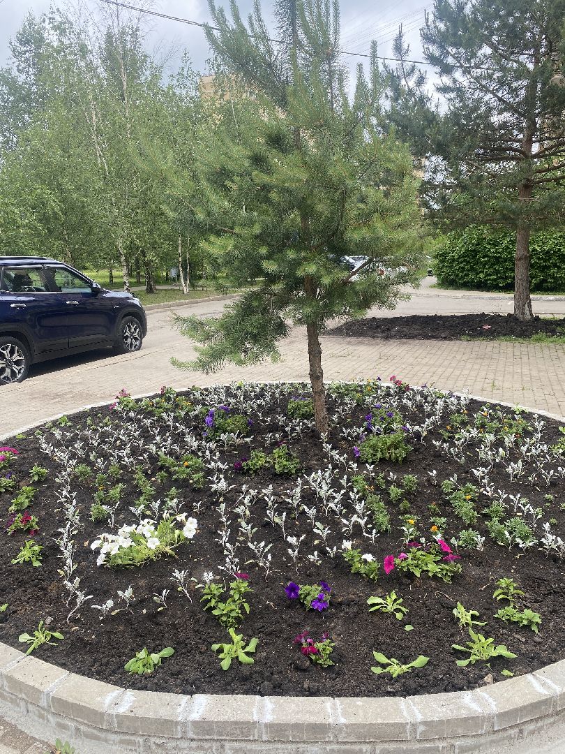 Власиха Школьный, Власиха Тополек, обход территории Власиха, контроль уборки, содержание территории,