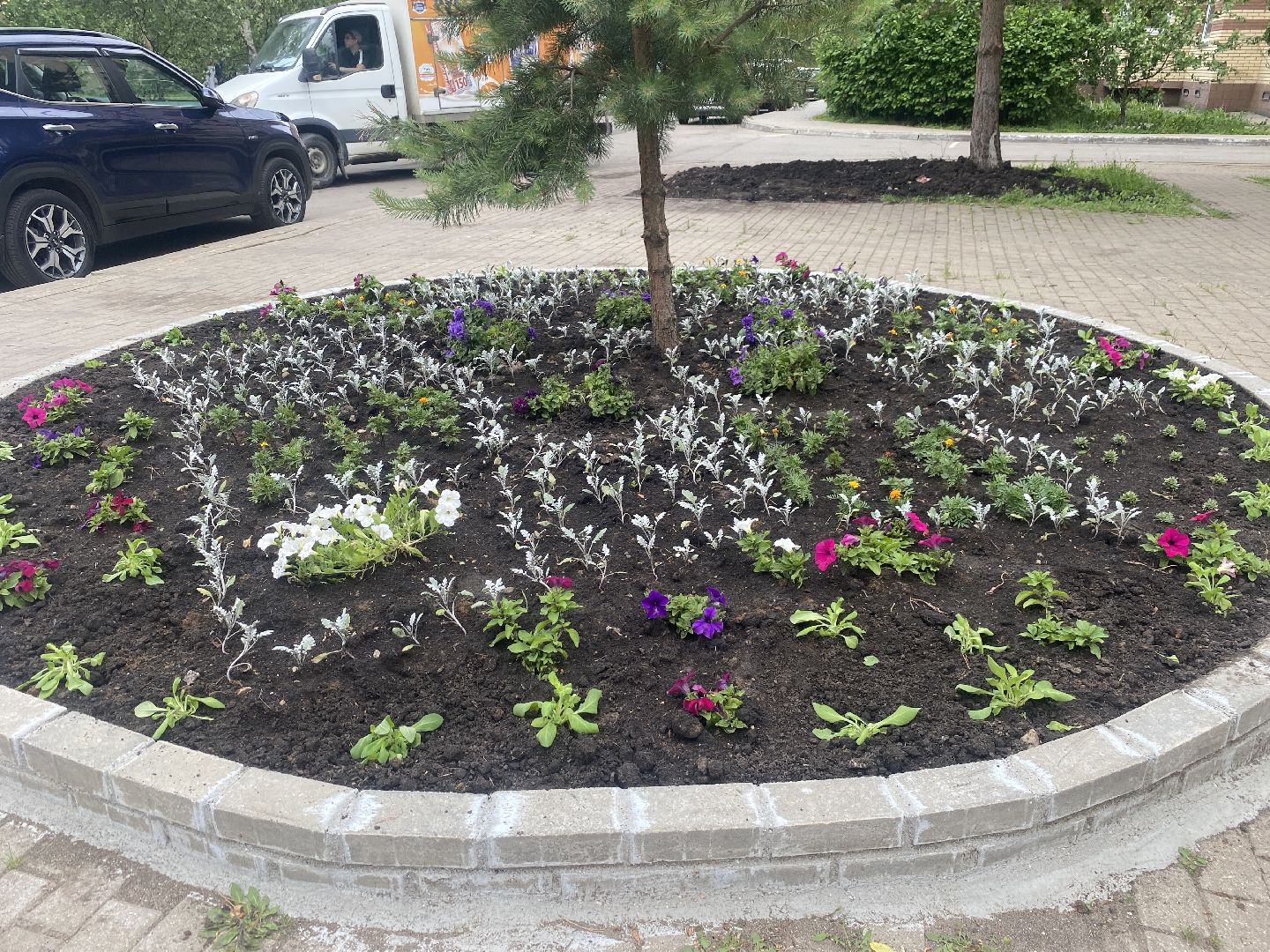 Власиха Школьный, Власиха Тополек, обход территории Власиха, контроль уборки, содержание территории,