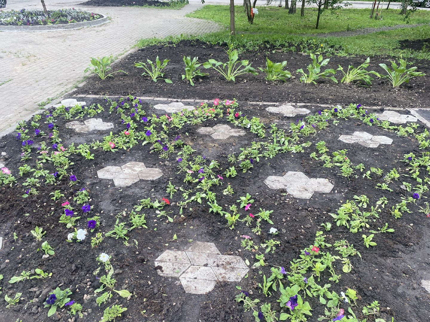 Власиха Школьный, Власиха Тополек, обход территории Власиха, контроль уборки, содержание территории,