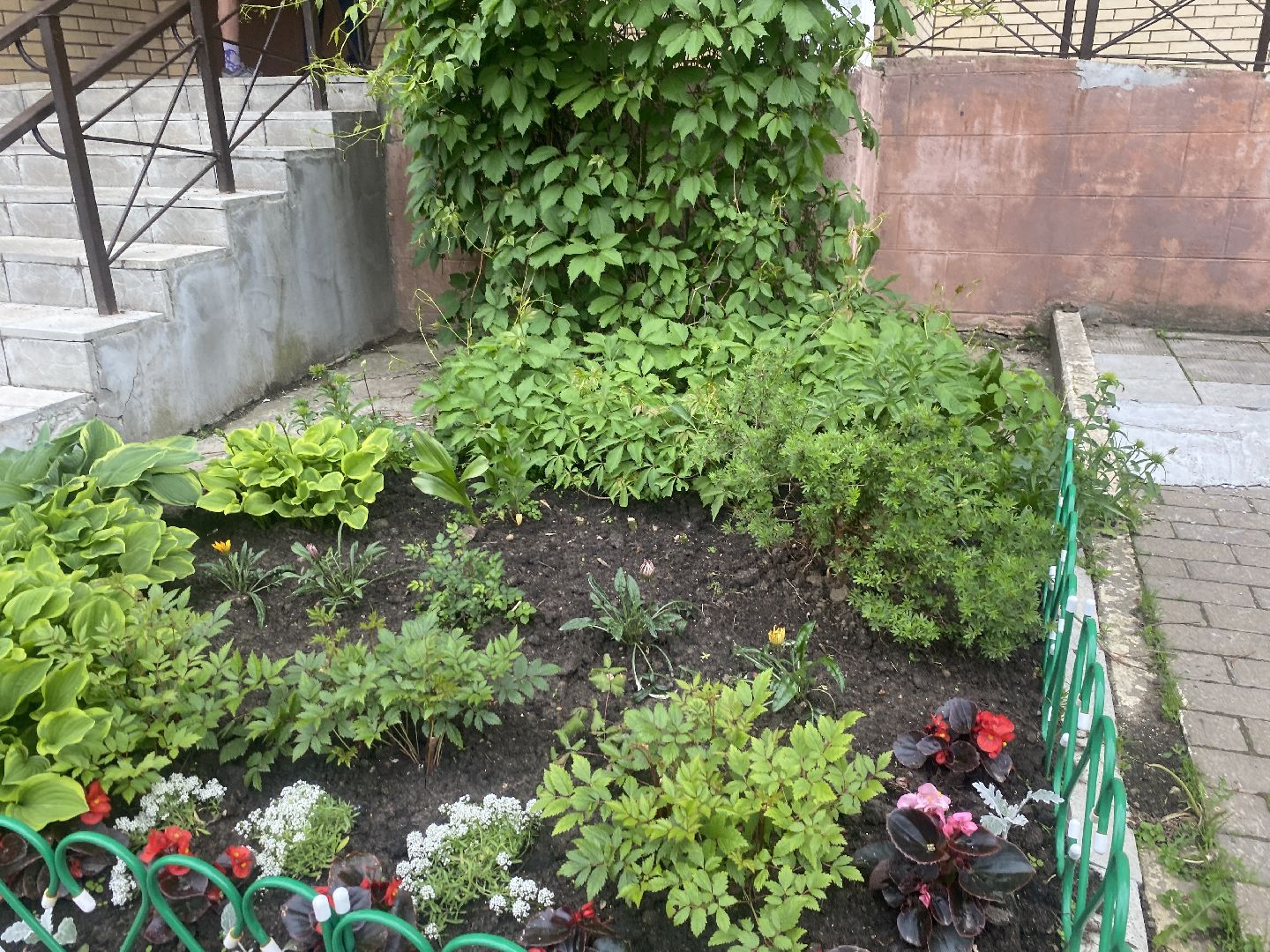 Власиха Школьный, Власиха Тополек, обход территории Власиха, контроль уборки, содержание территории,