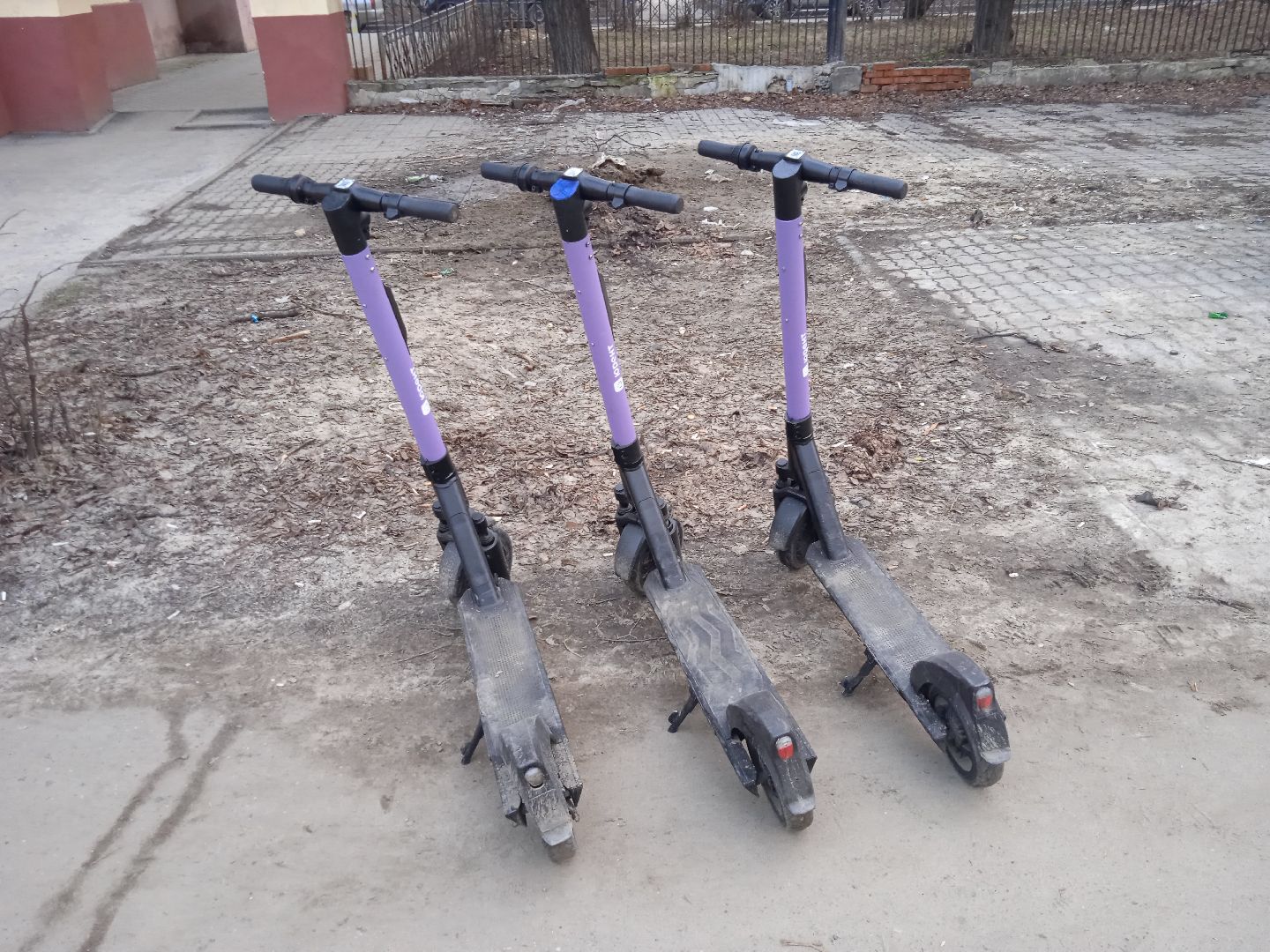 электросамокаты, прокат, аренда