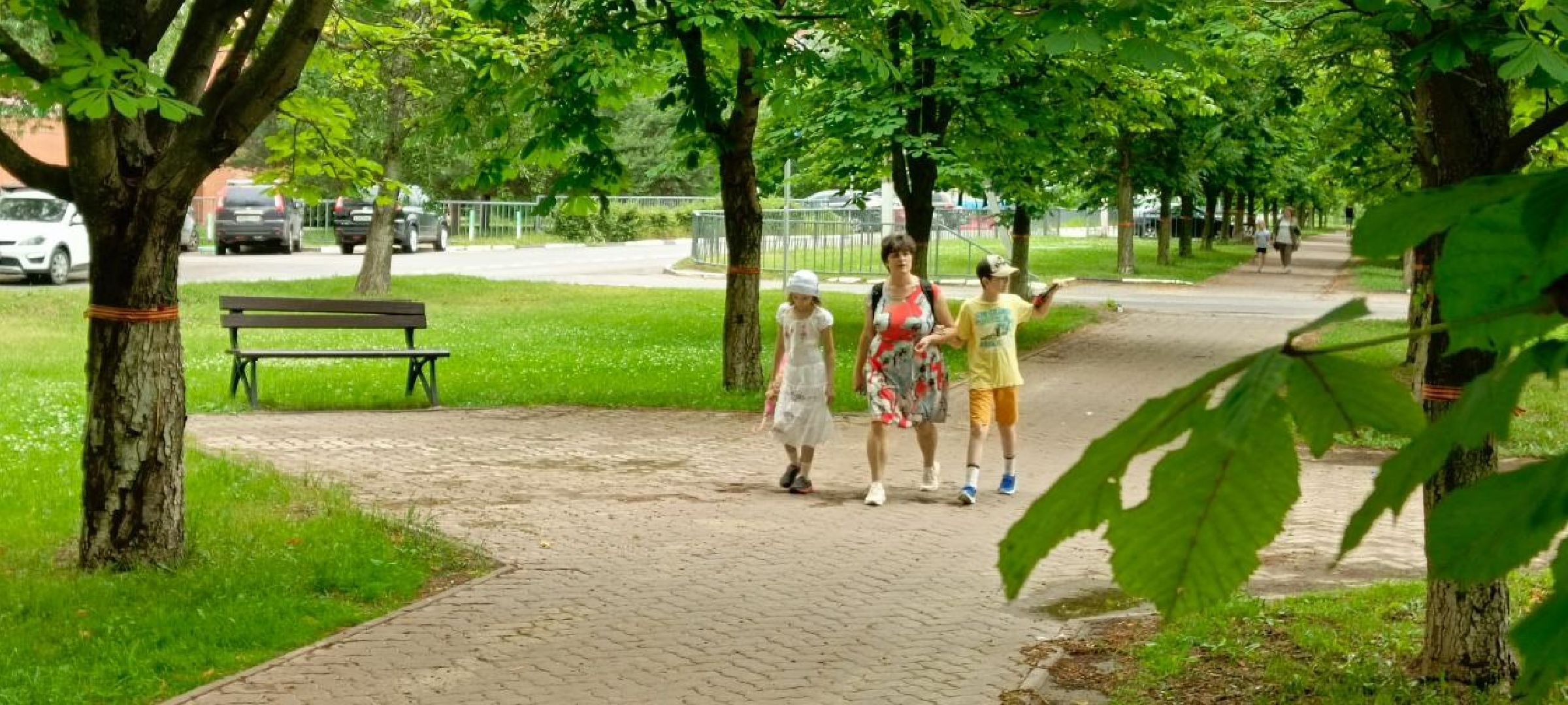 Дмитров, Минблаго,