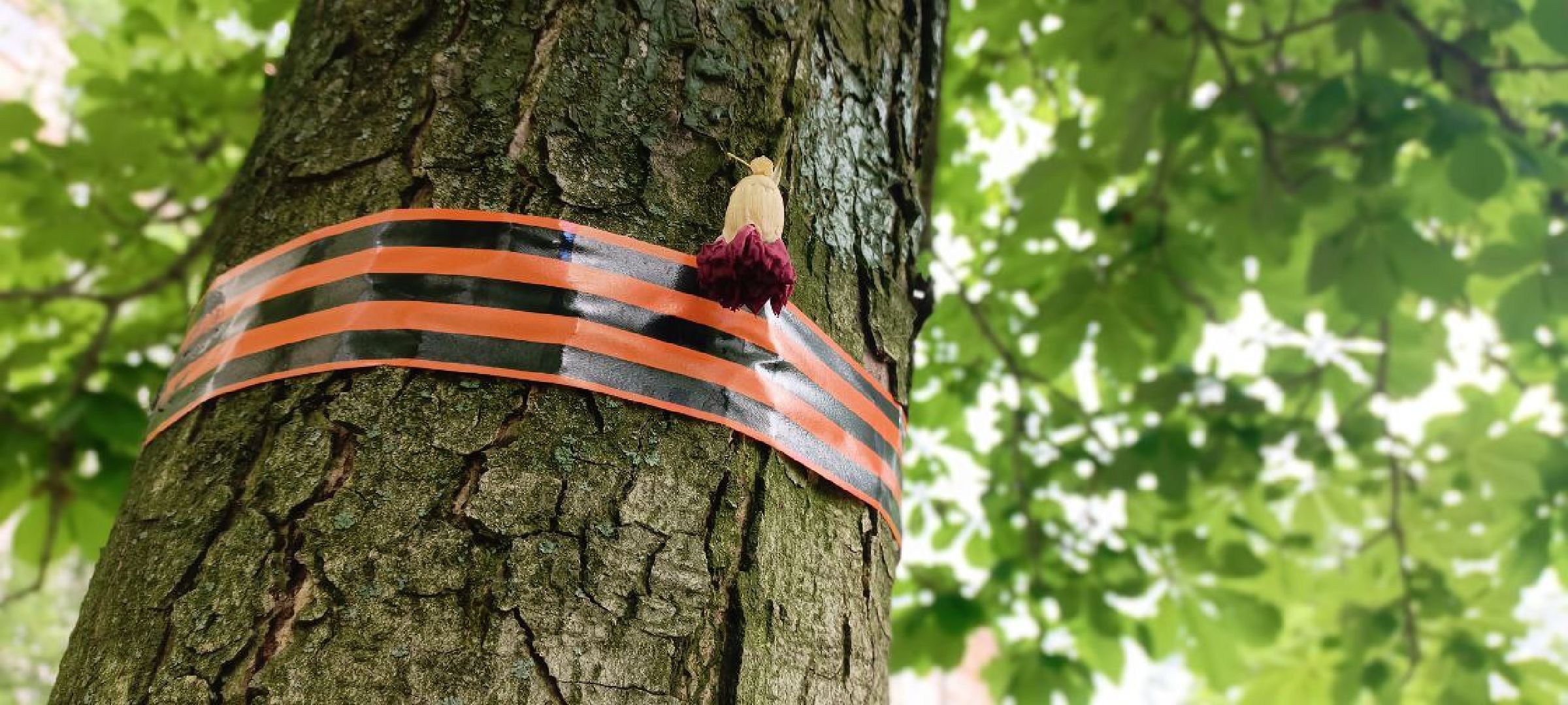 Дмитров, Минблаго,