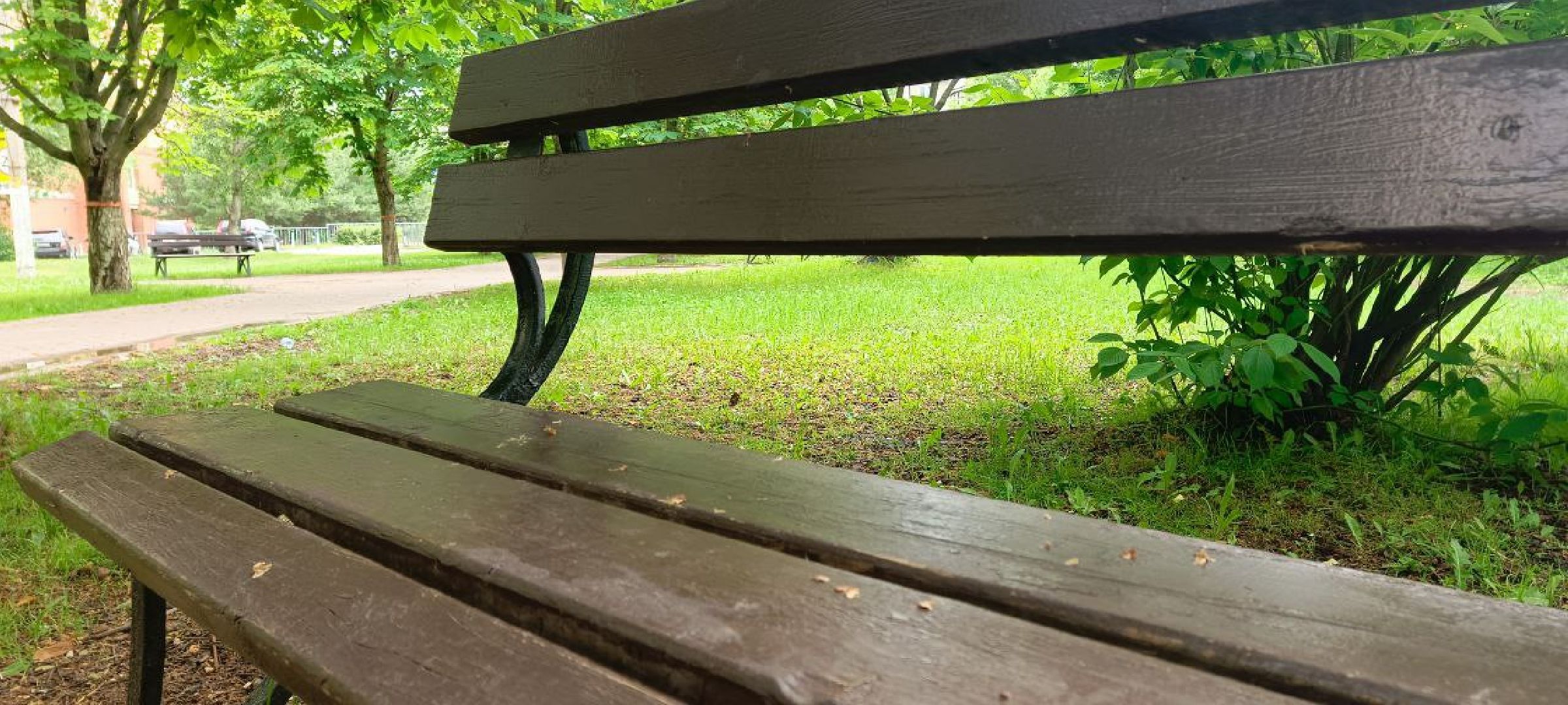 Дмитров, Минблаго,