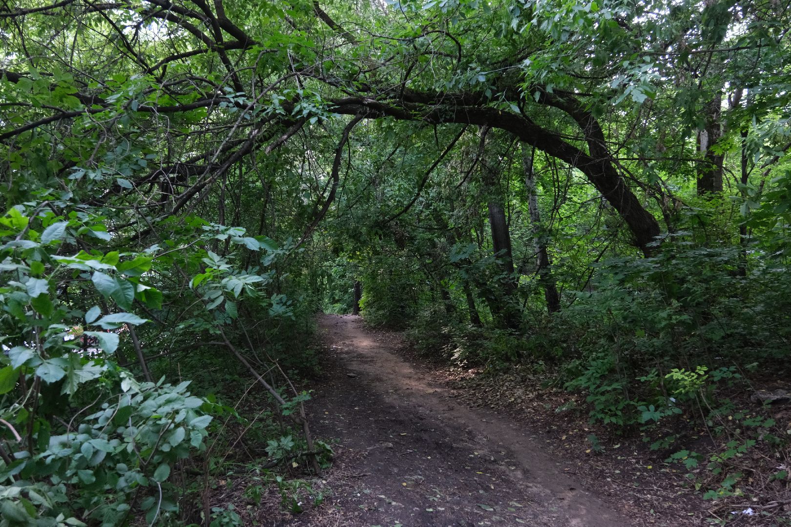 лыткарино, выездная администрация, общество,
