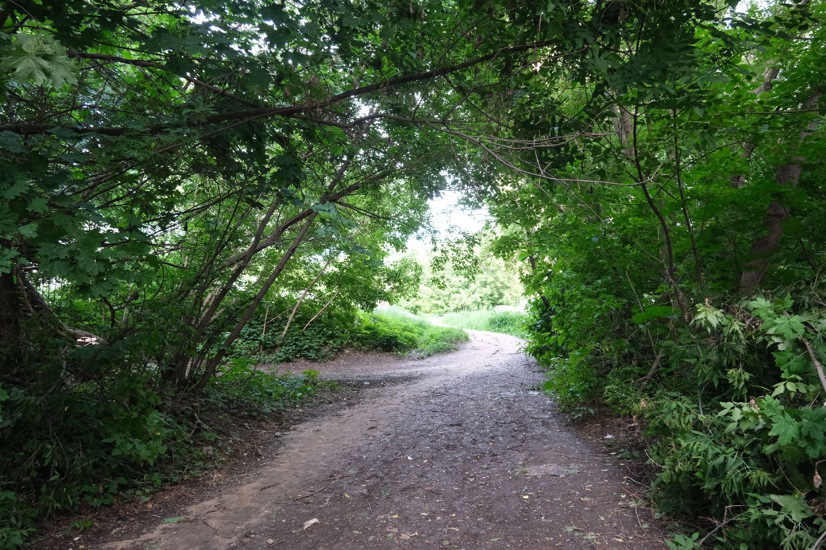 лыткарино, выездная администрация, общество,