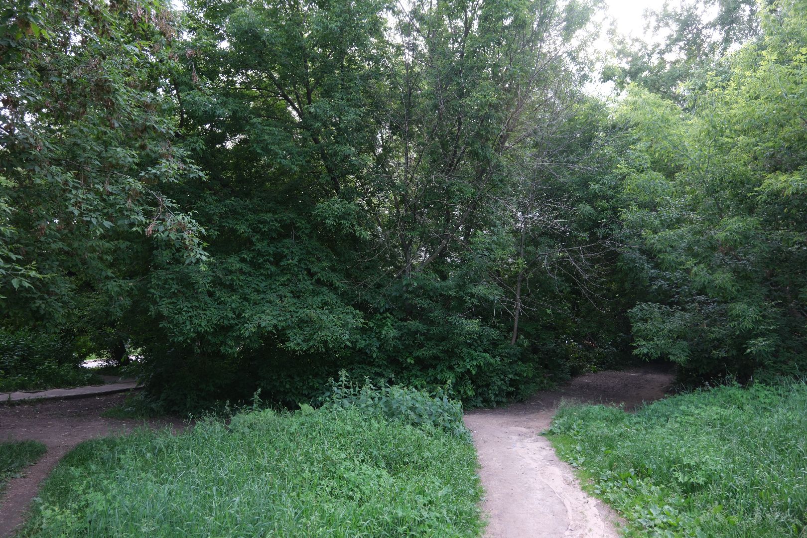 лыткарино, выездная администрация, общество,