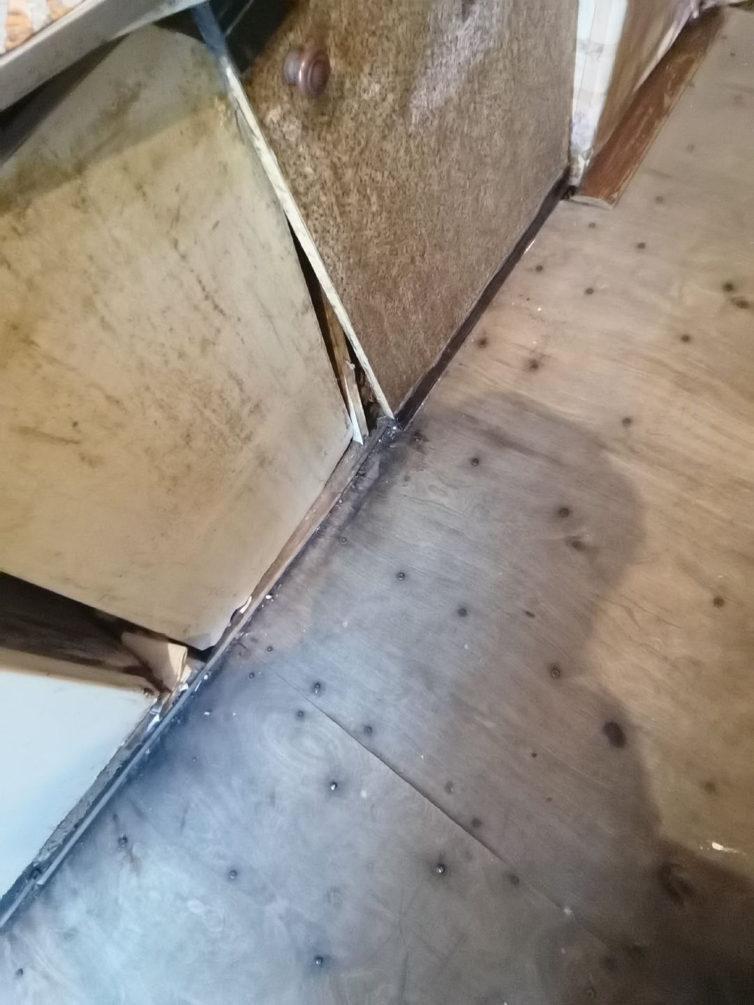 Балашиха, общество