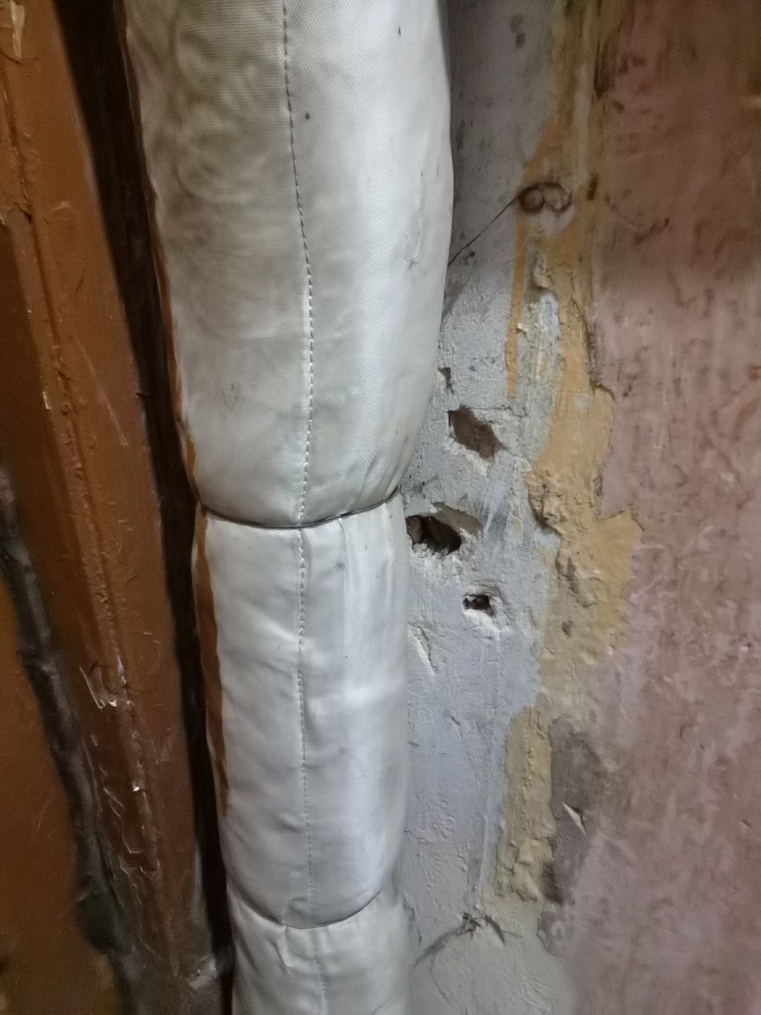 Балашиха, общество