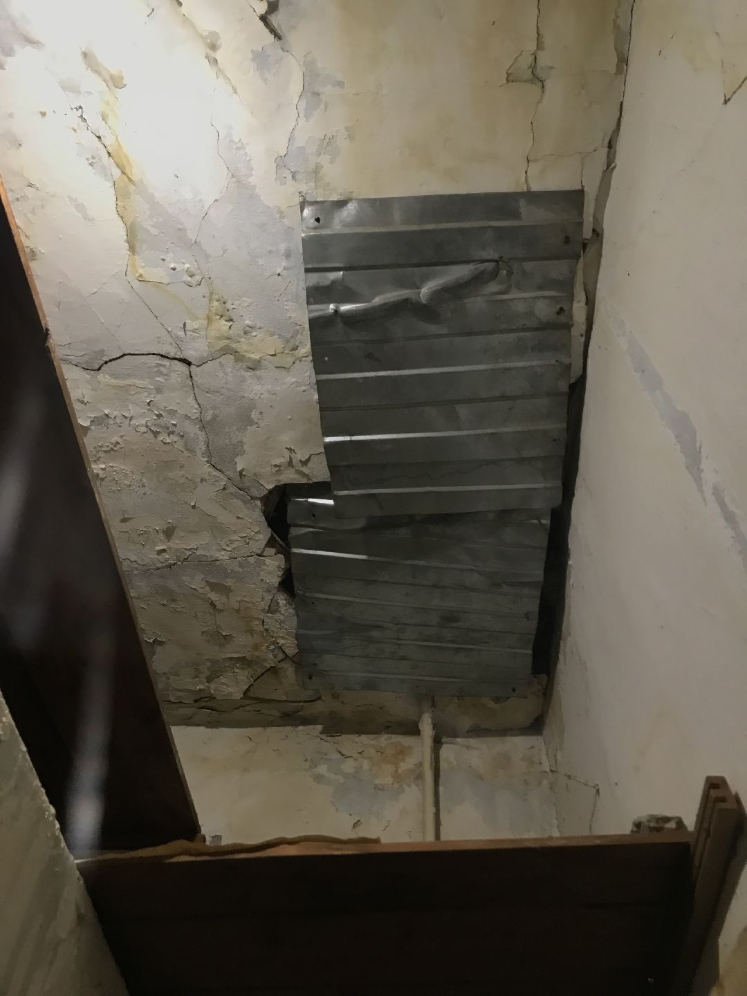 Балашиха, общество