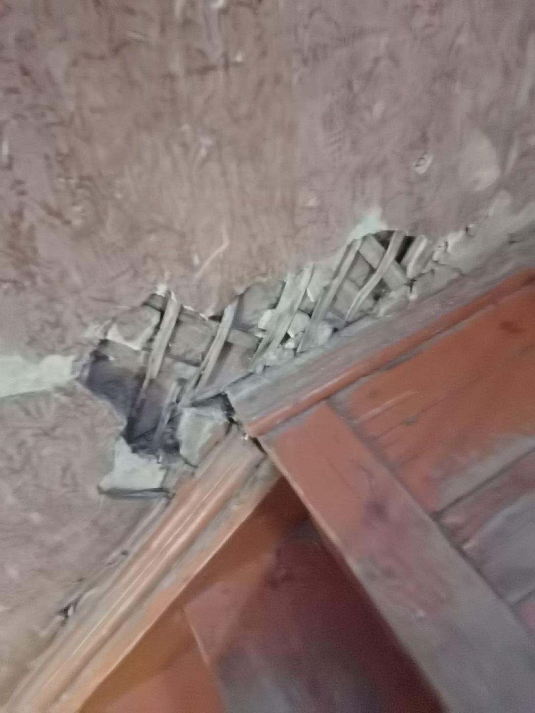 Балашиха, общество