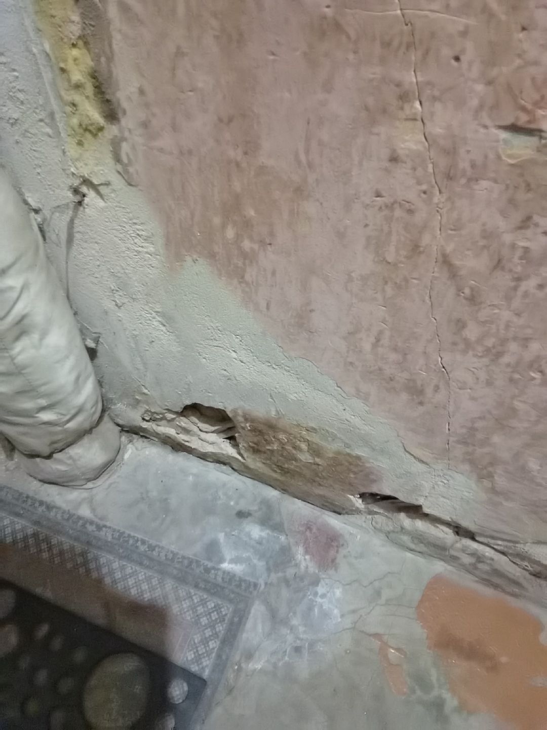 Балашиха, общество