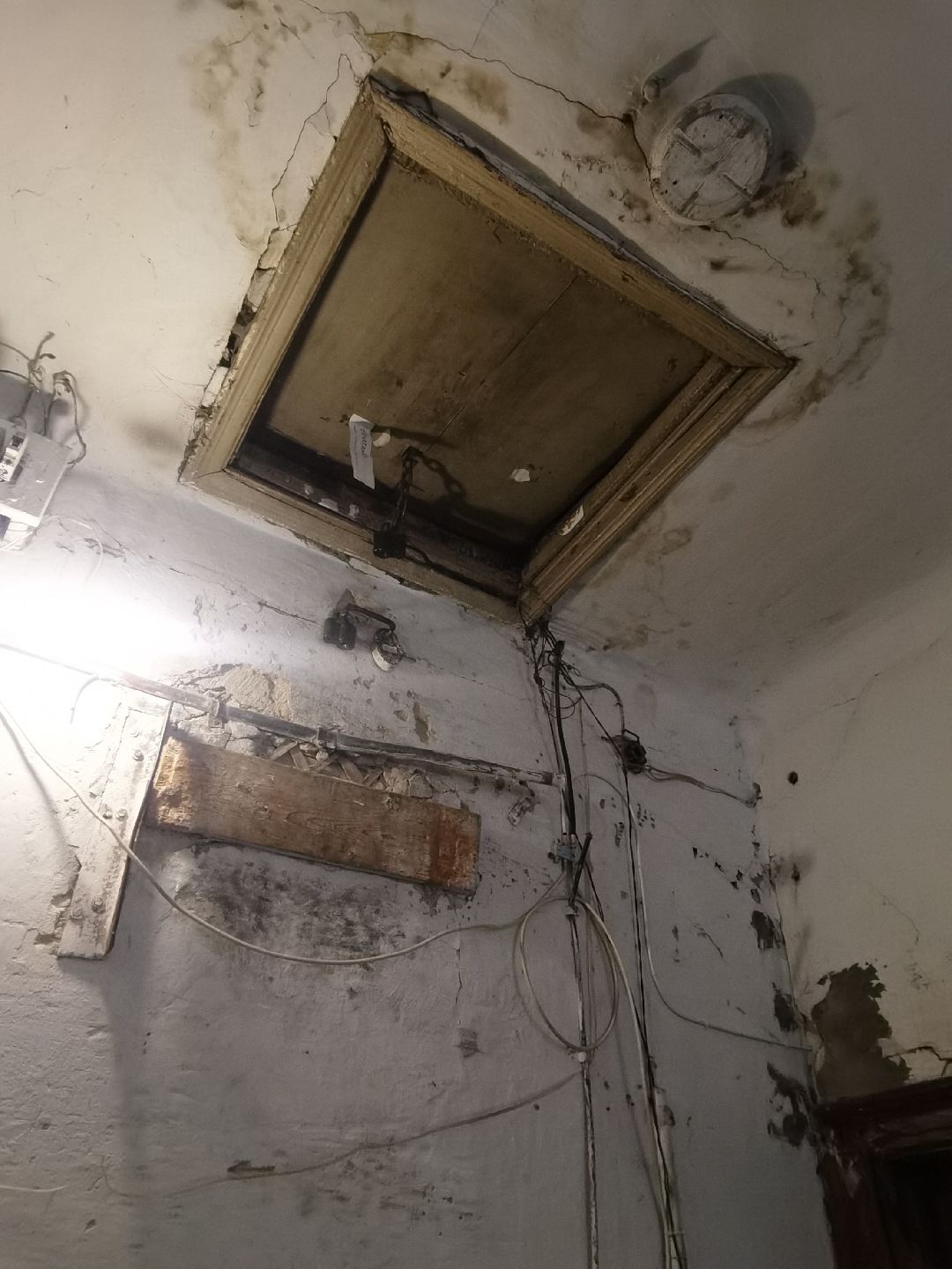 Балашиха, общество