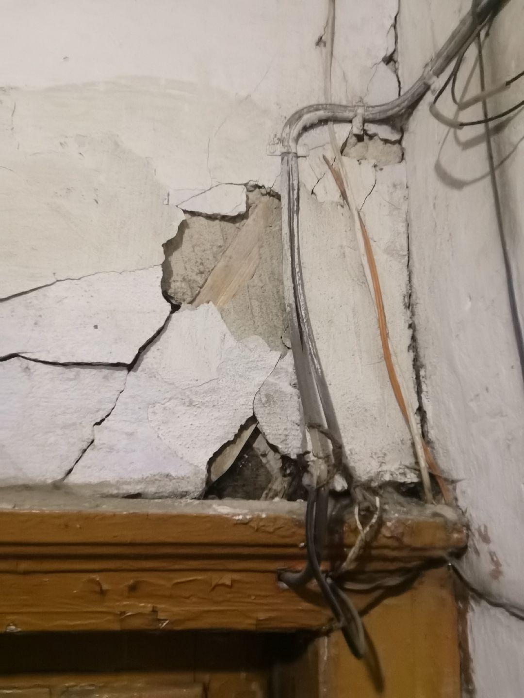 Балашиха, общество