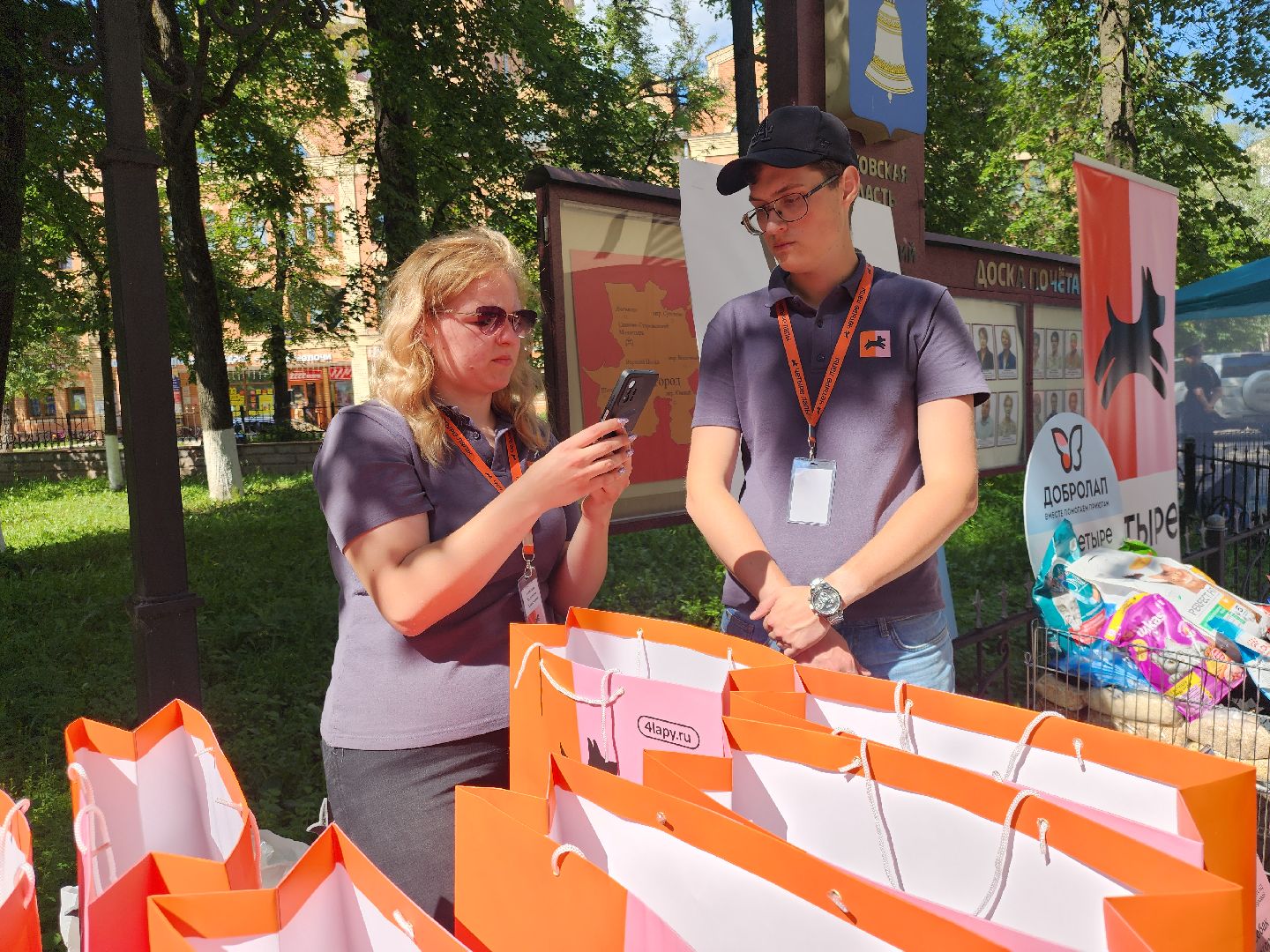 Звенигород, Акции, Зооволонтры Подмосковья,