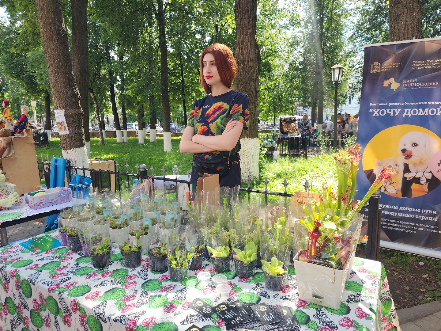 Звенигород, Акции, Зооволонтры Подмосковья,