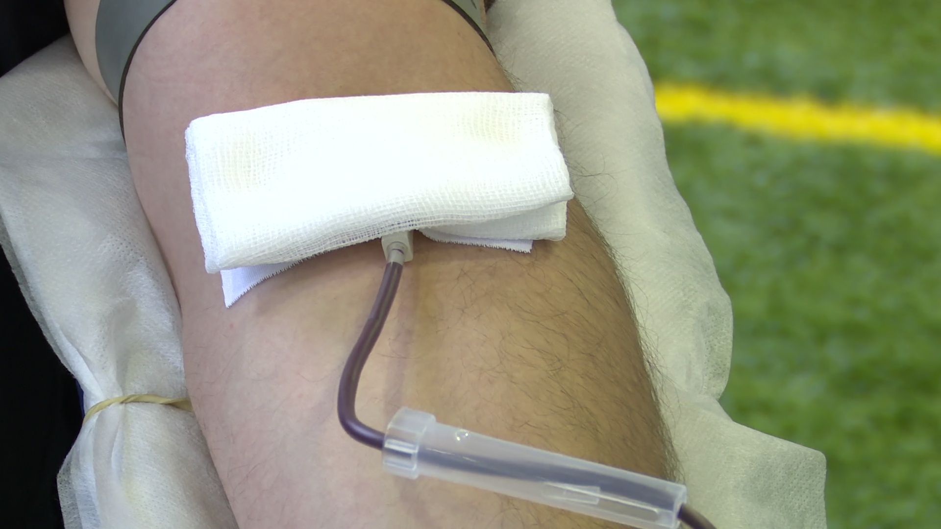 Реутов, Росгвардия, доноры, кровь, день донора, сдаем кровь,