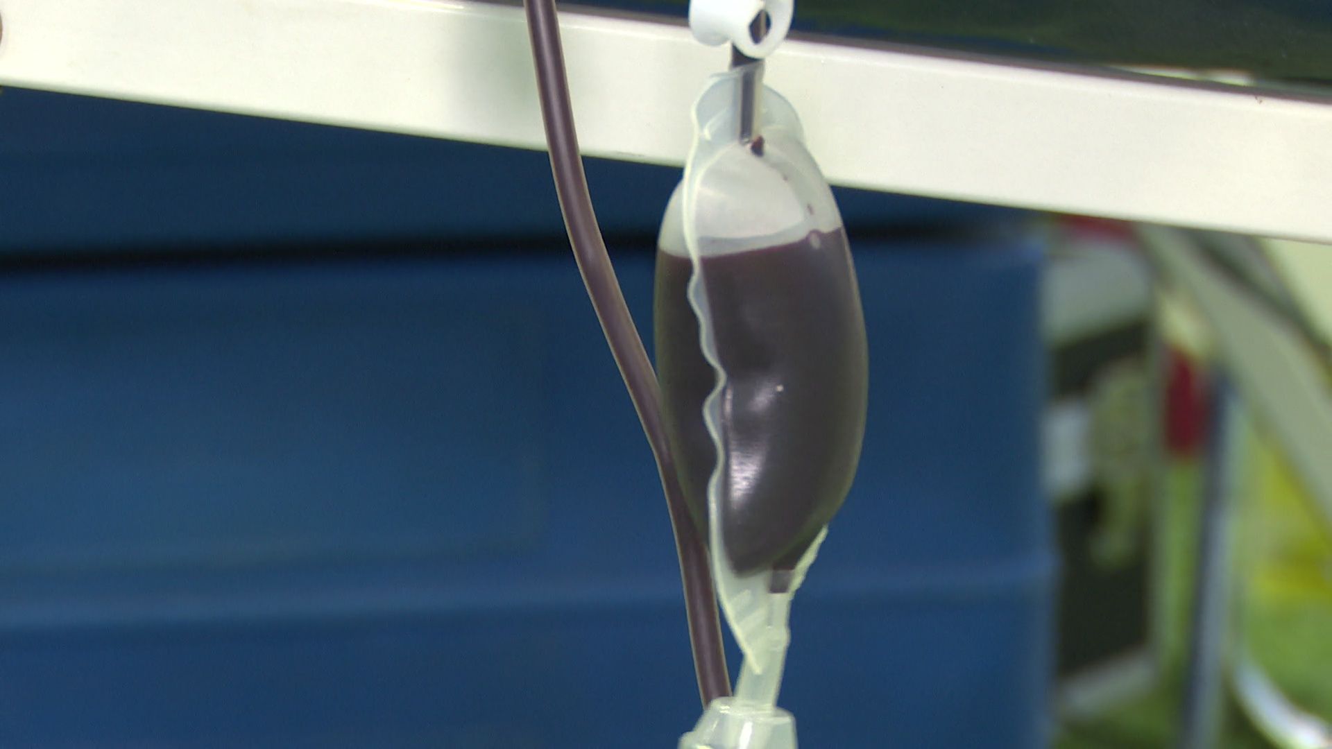 Реутов, Росгвардия, доноры, кровь, день донора, сдаем кровь,