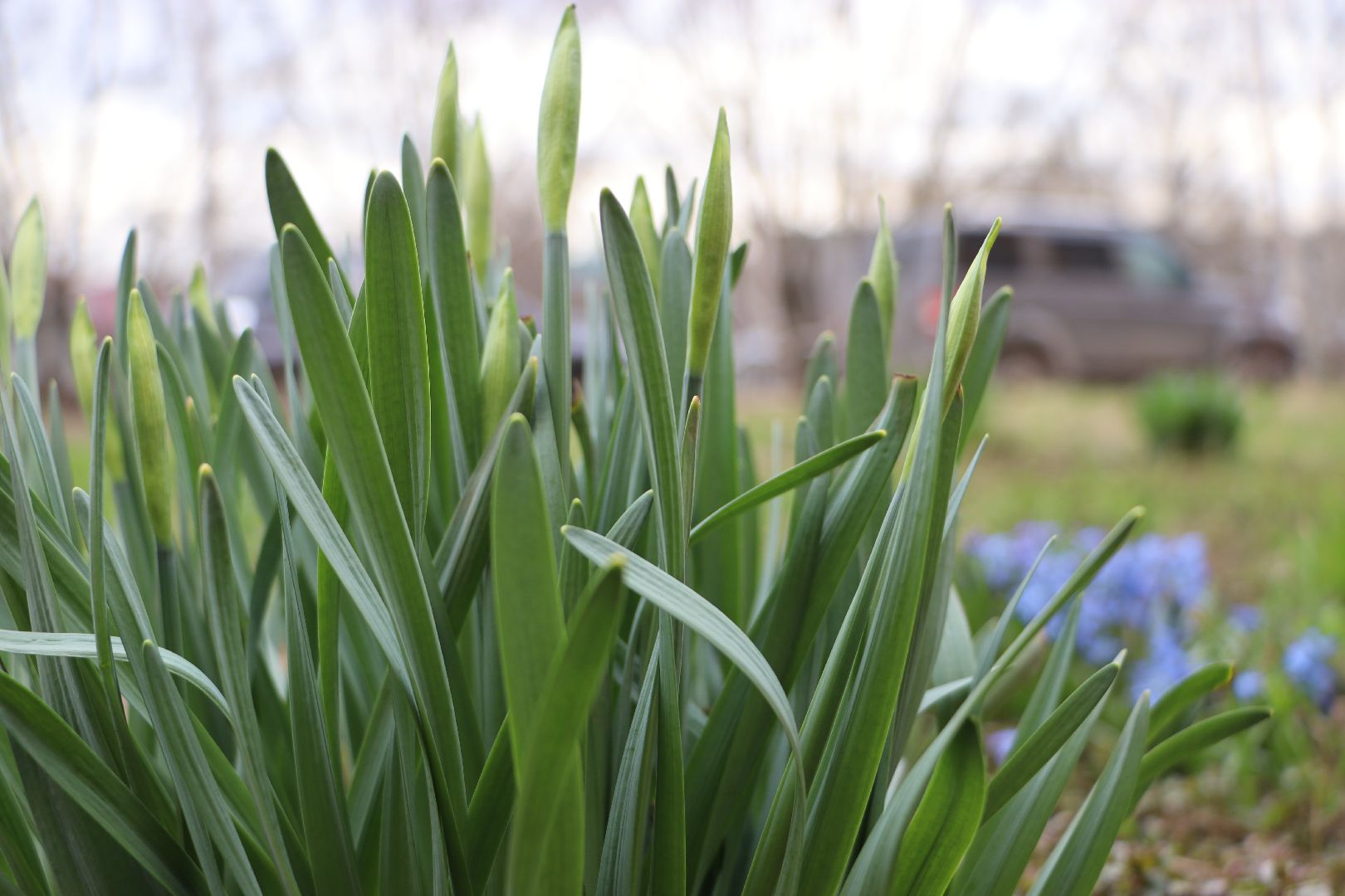 перемены, Серебряные Пруды, весна