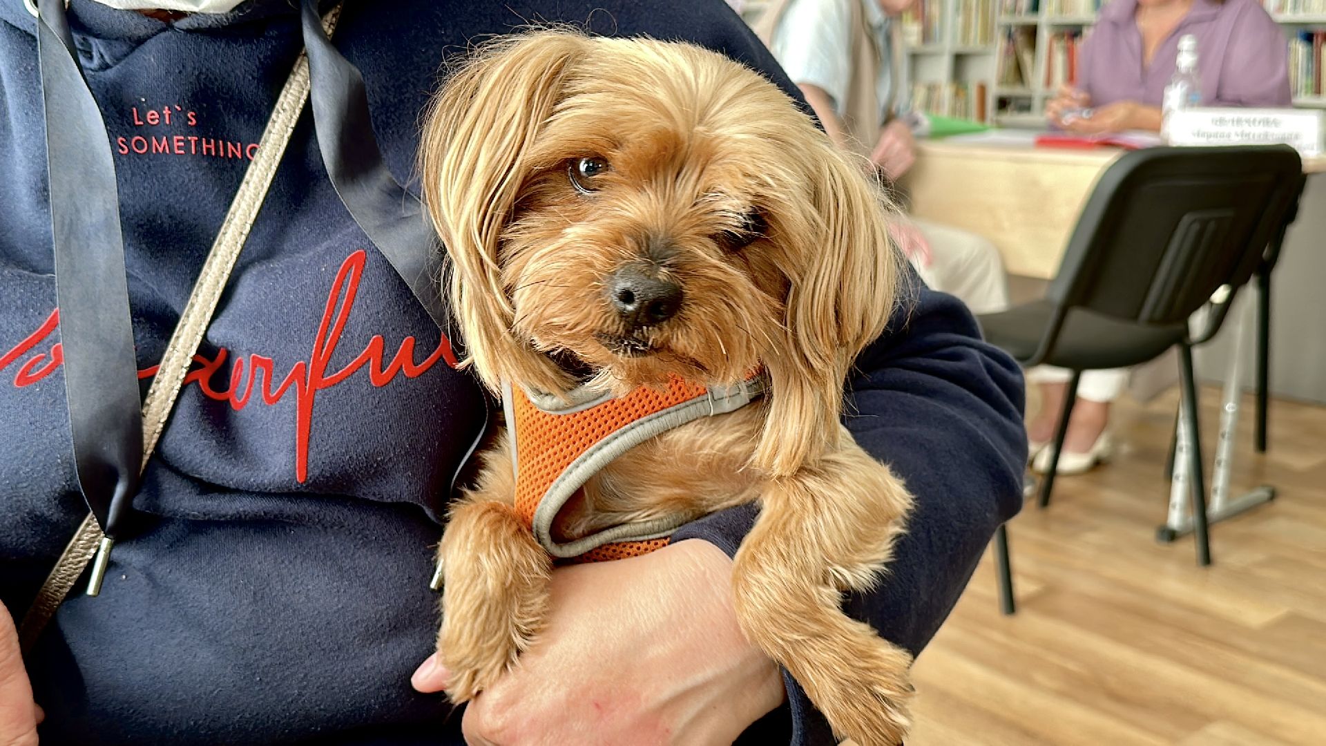 Клин, общество, ЖКХ, благоустройство, выездная администрация,