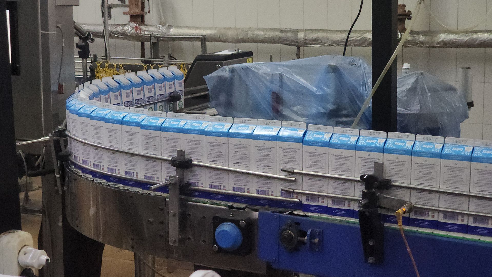 Рузское молоко, Производство, Молочная продукция, Руза, рузский городской округ, московская область, подмосковье,