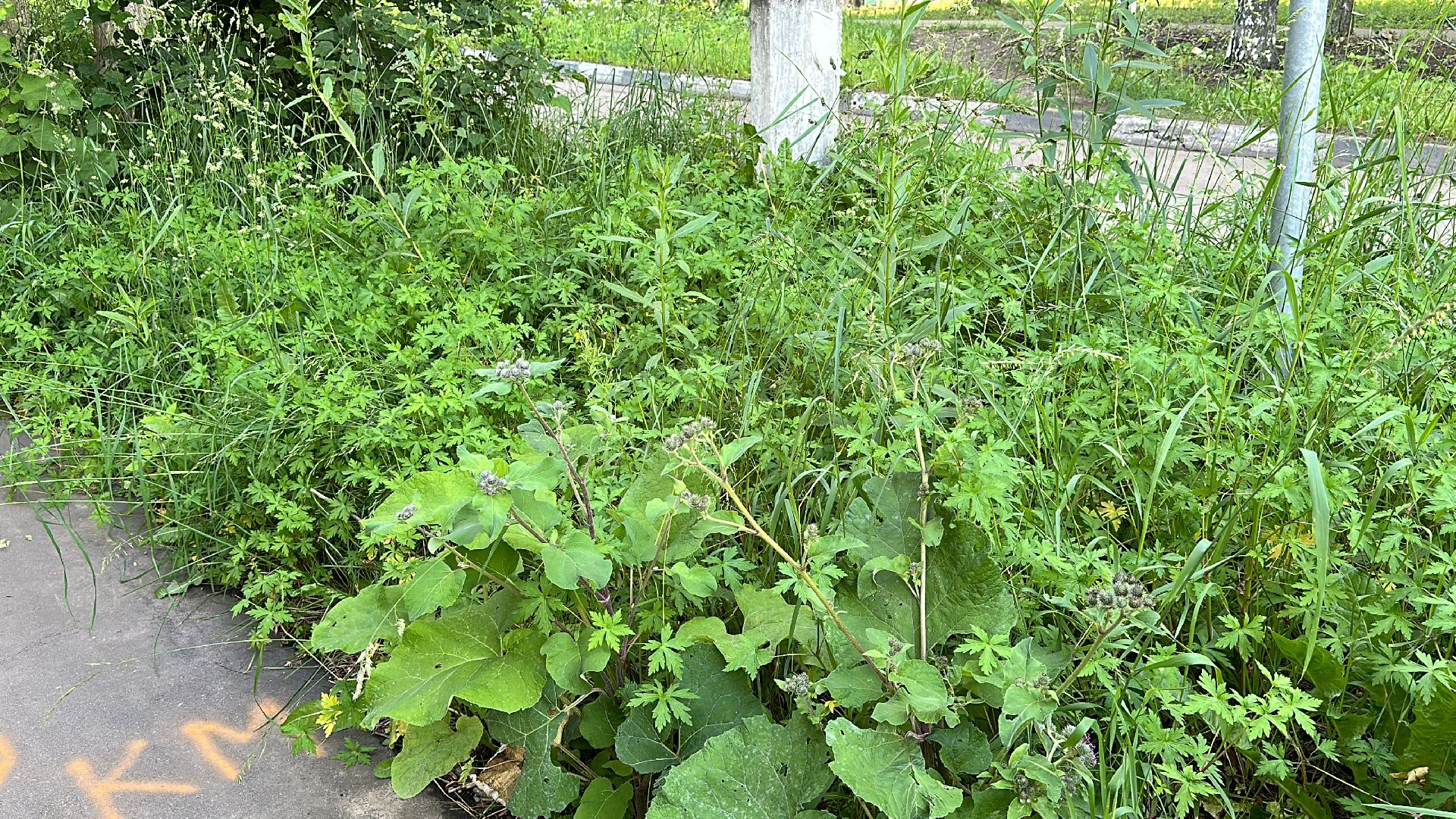 Клин, общество, ЖКХ, благоустройство, выездная администрация,