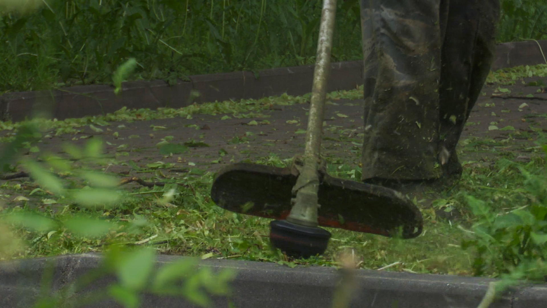 Клин, общество, ЖКХ, покос травы,