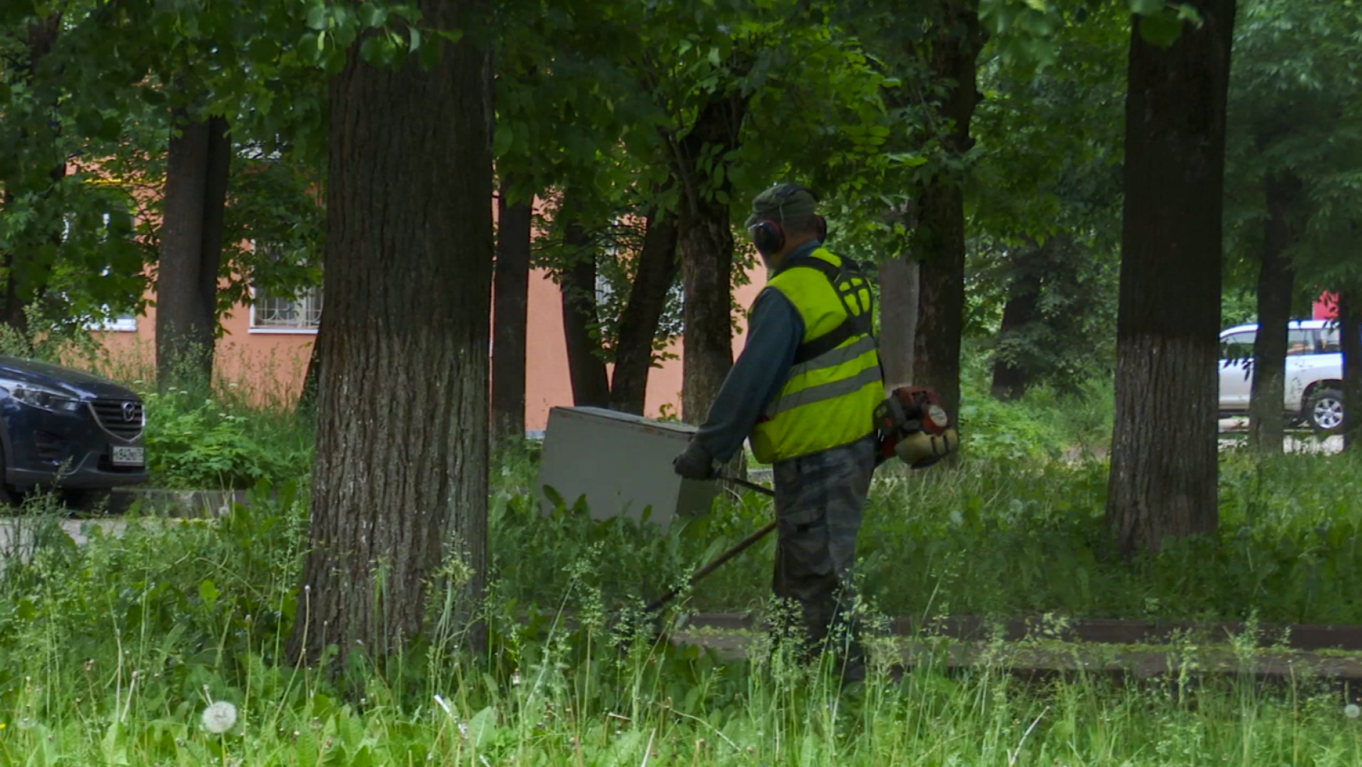 Клин, общество, ЖКХ, покос травы,