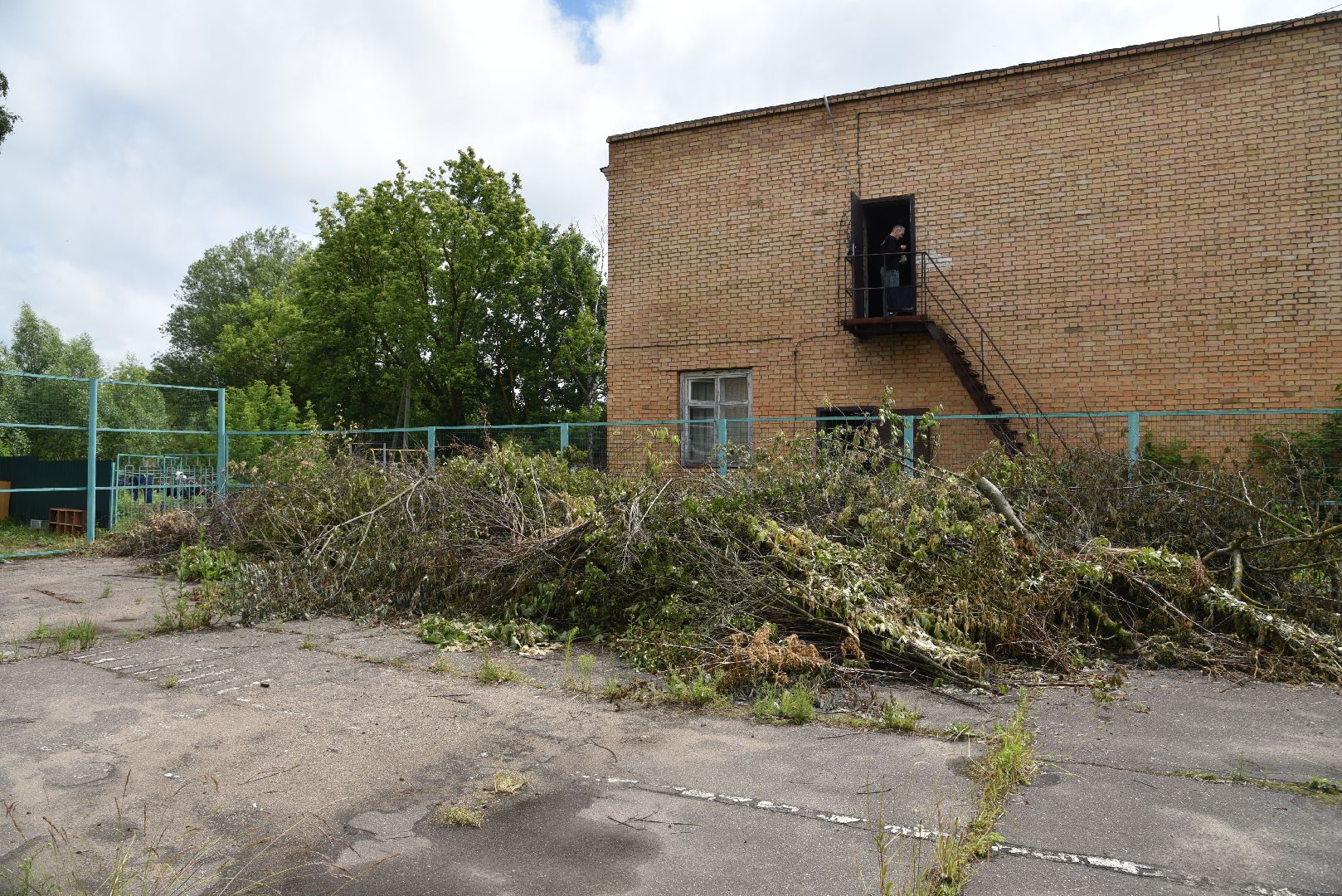 лотошино, лотошинский ддт, кировский, образование, дом детского творчества,