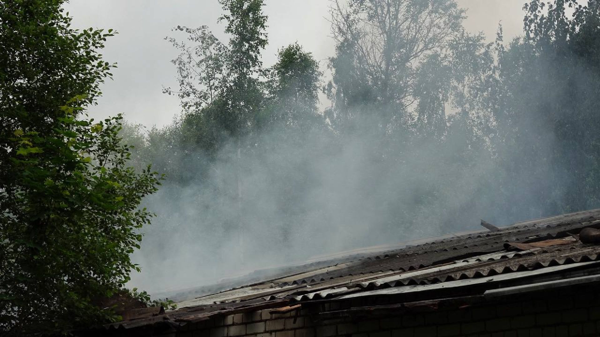 ЧП, Пожар, Лес, Гаражи, Лесная охрана, Мособлпожспас,