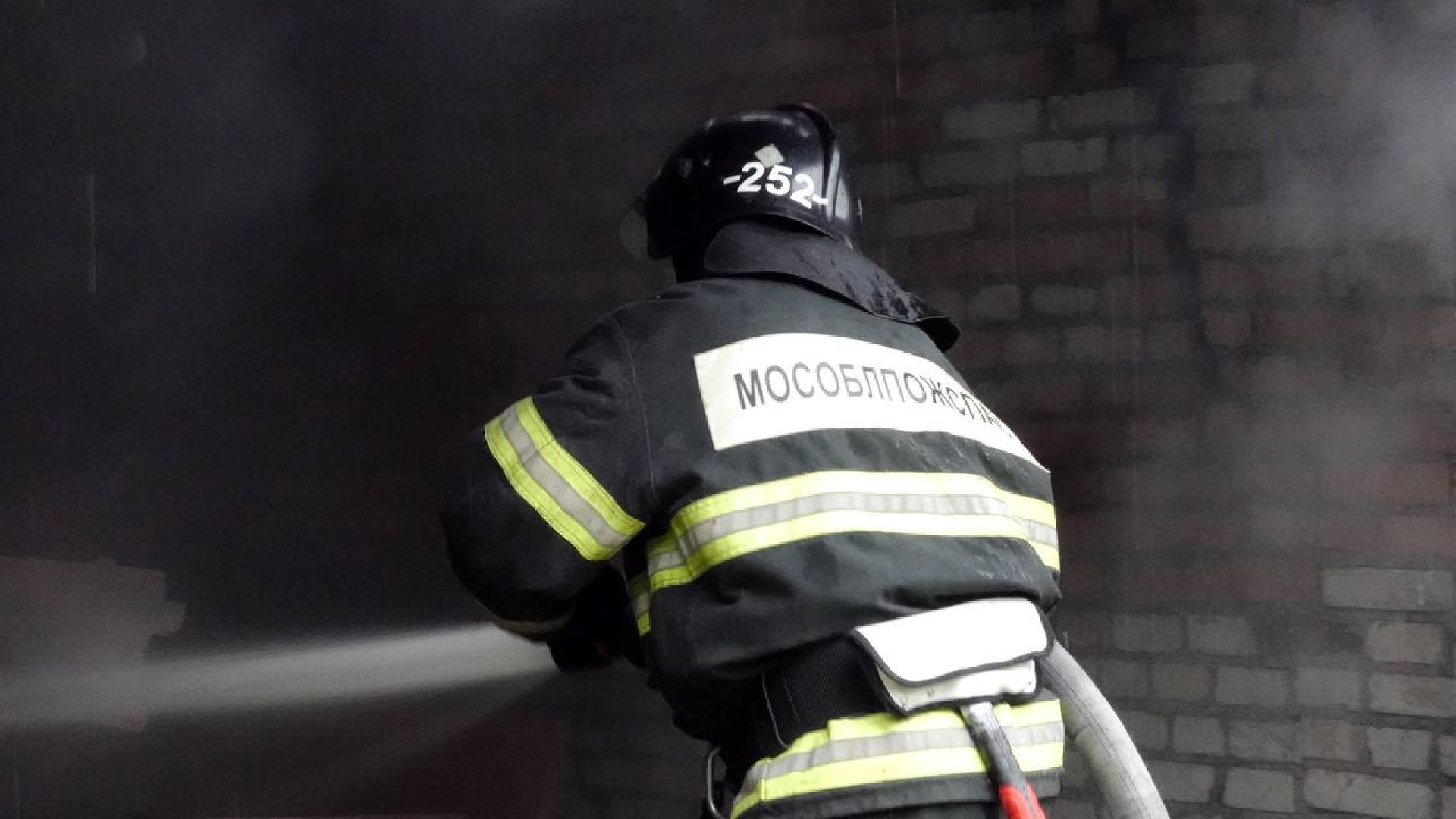 ЧП, Пожар, Лес, Гаражи, Лесная охрана, Мособлпожспас,