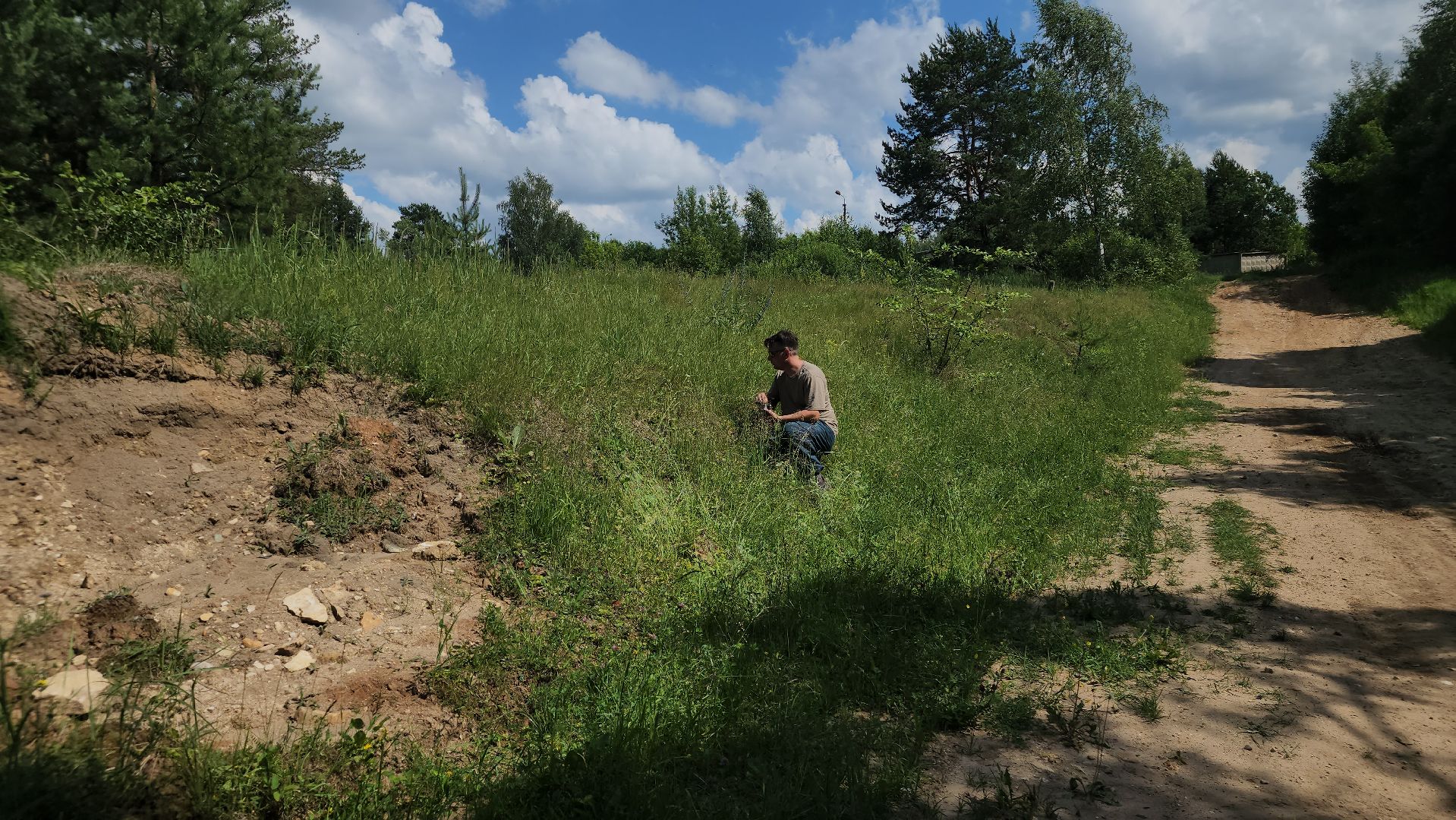 ступино, земляника в подмосковье, Первые ягоды,