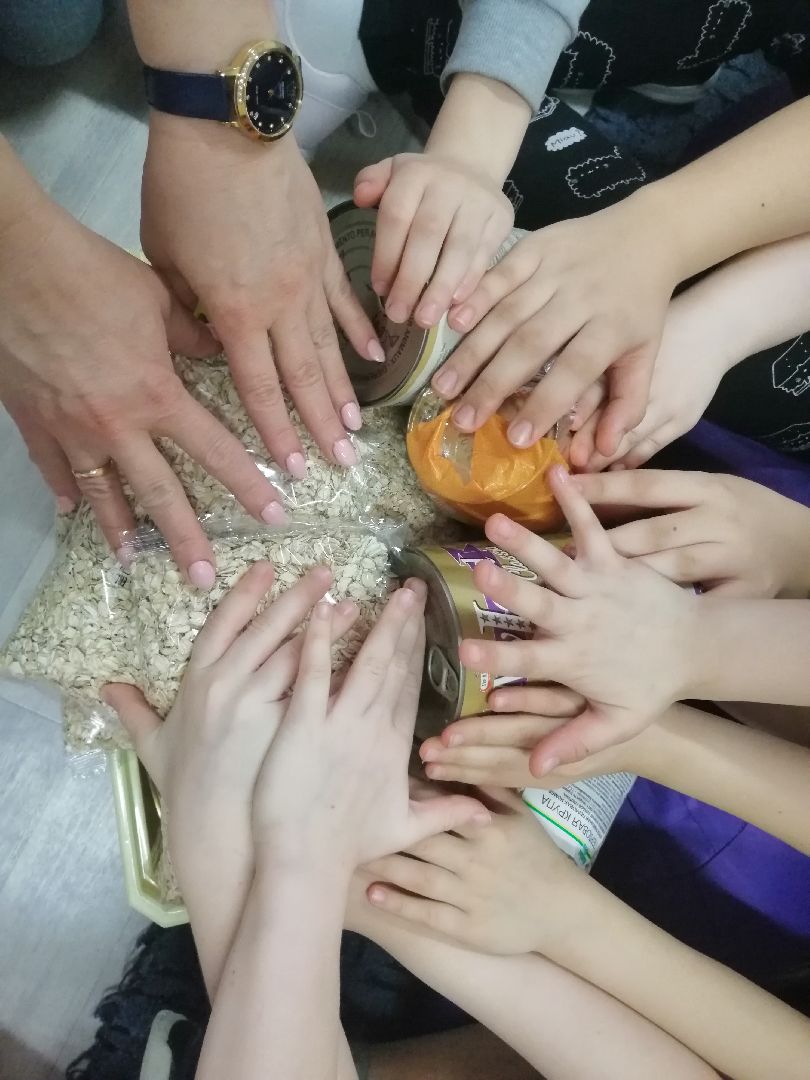 хвостатыйрай, благотворительность, дети, Протвино