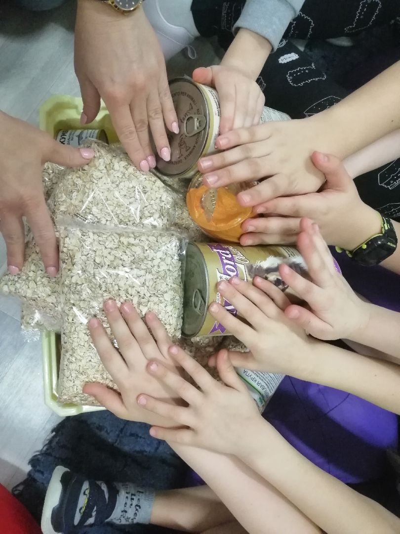 хвостатыйрай, благотворительность, дети, Протвино