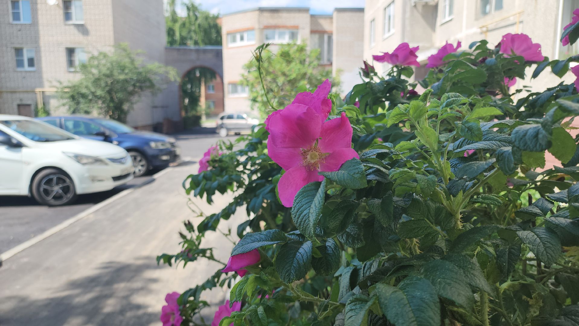 кашира, комплексное благоустройство дворов, мкд, парковки, входные группы, тротуар, каштаны, озеленение,