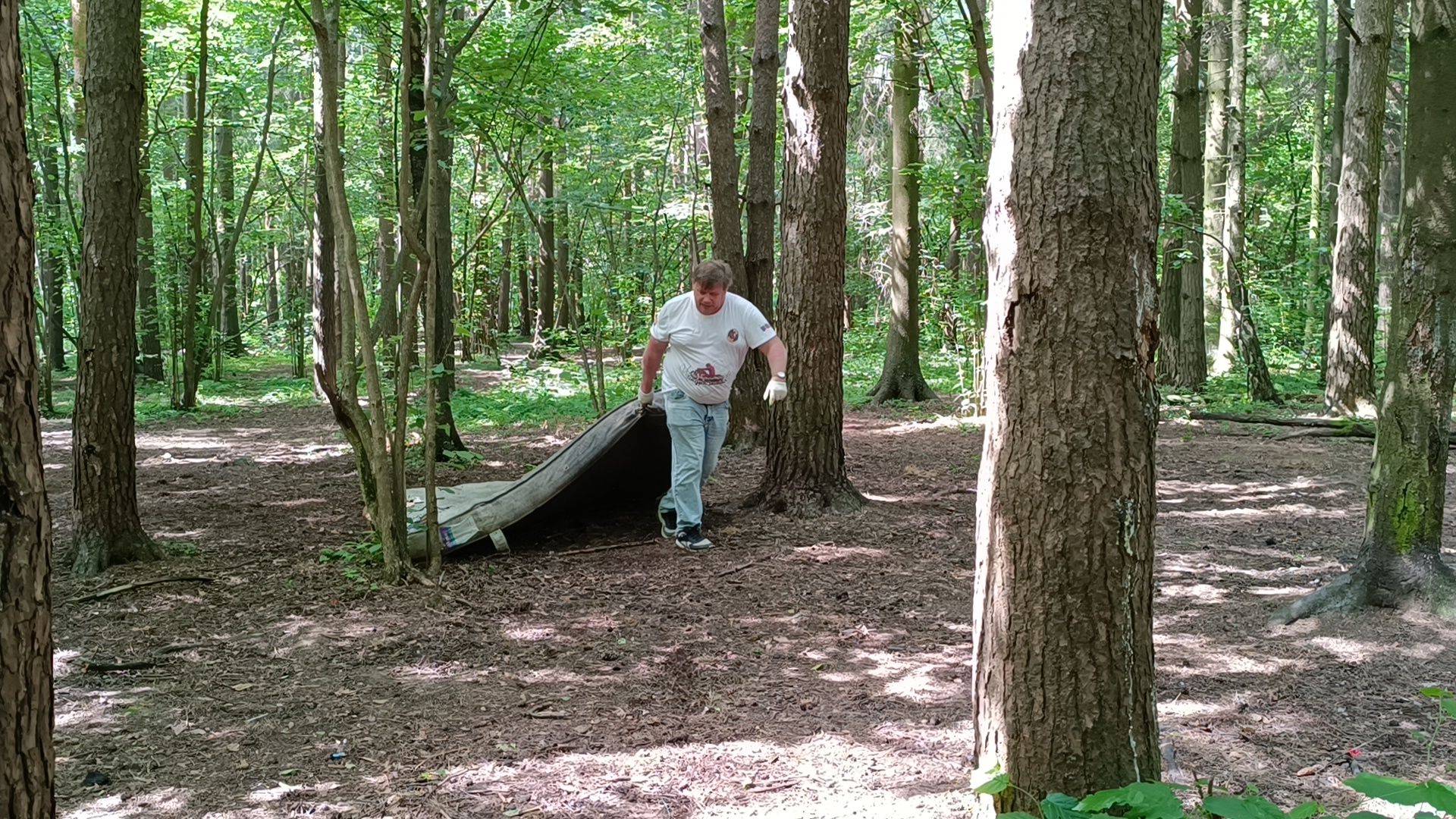 чистый лес, лобня, экология, казаки,